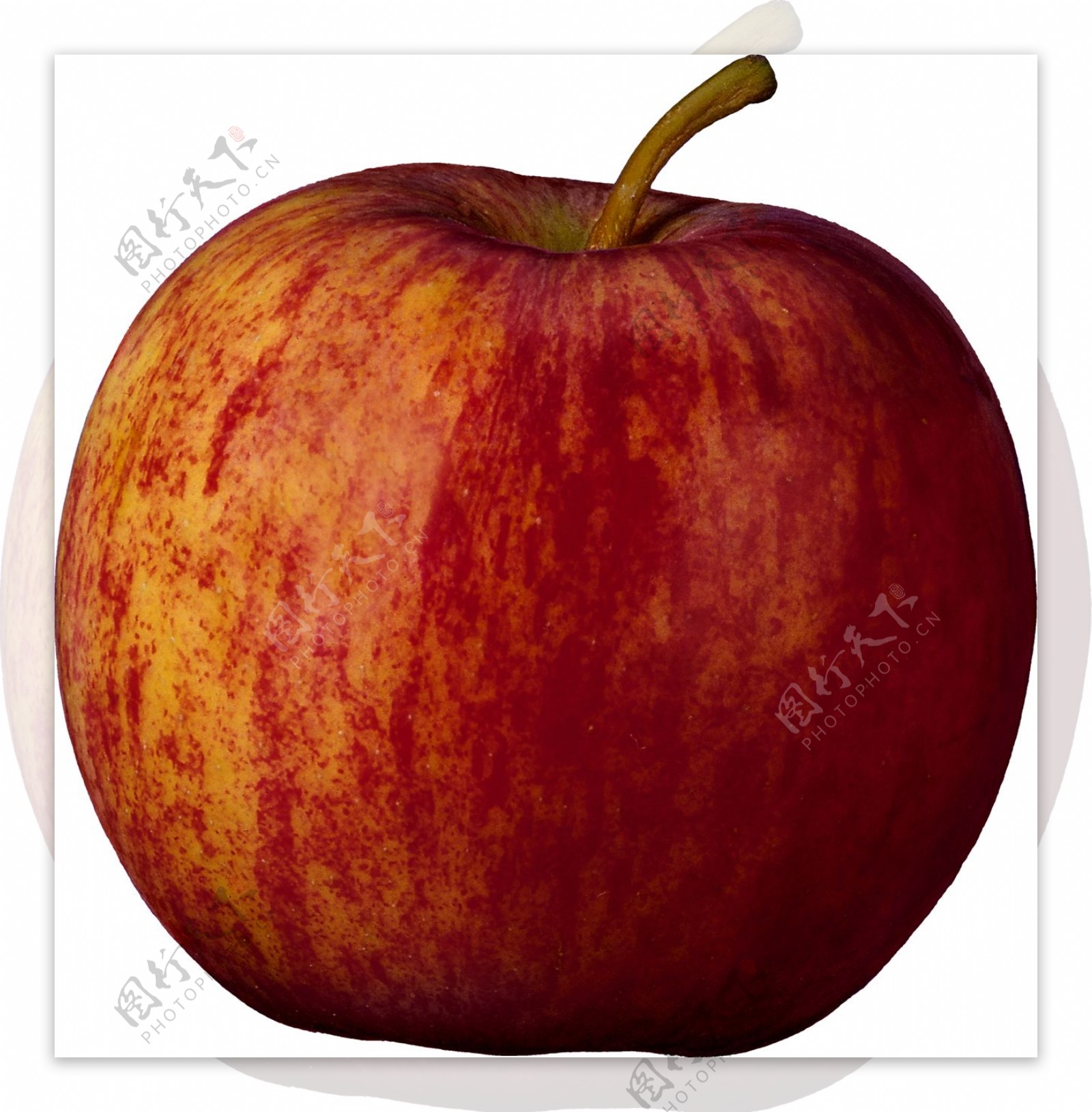 红富士大苹果图片免抠png透明图层素材