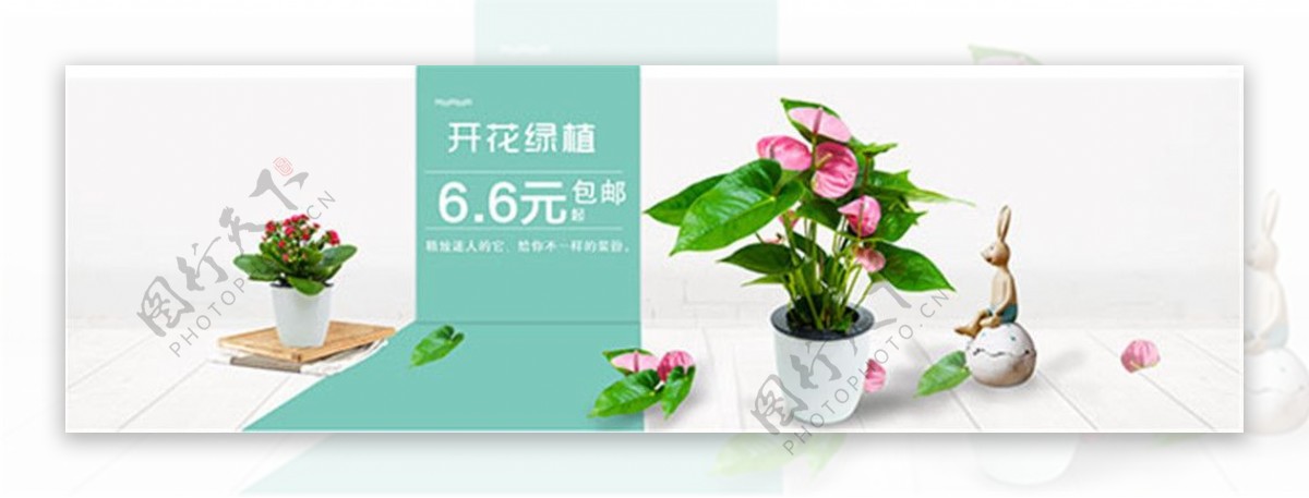 淘宝绿植海报