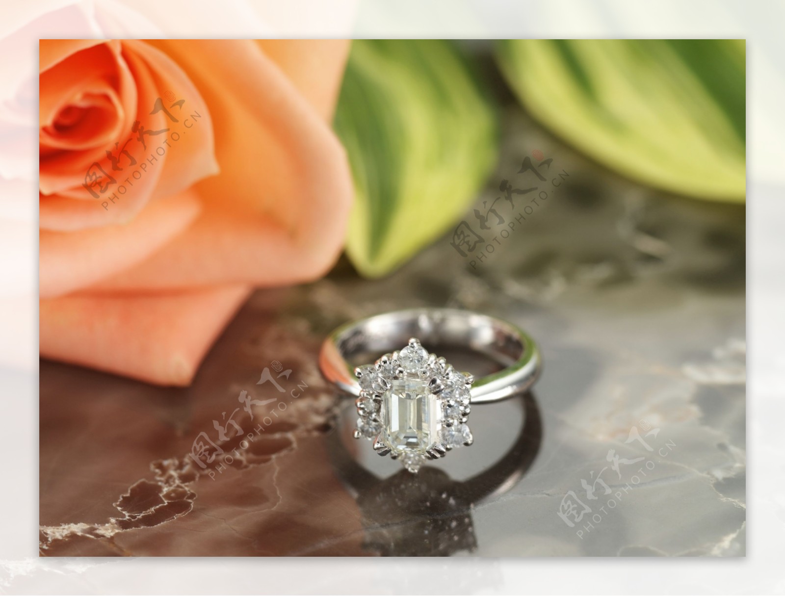 玫瑰花旁的钻石戒指图片