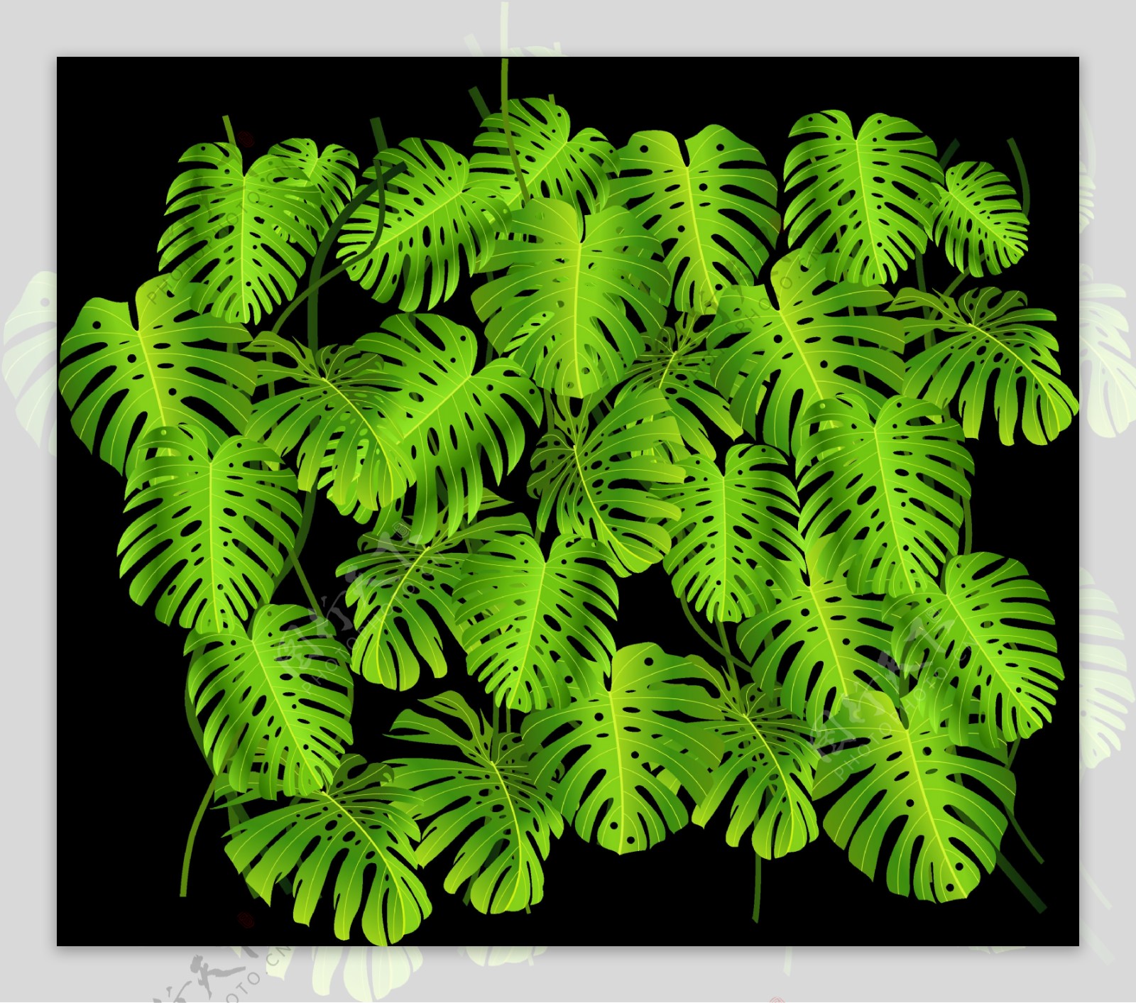 绿色叶子图案免抠png透明图层素材