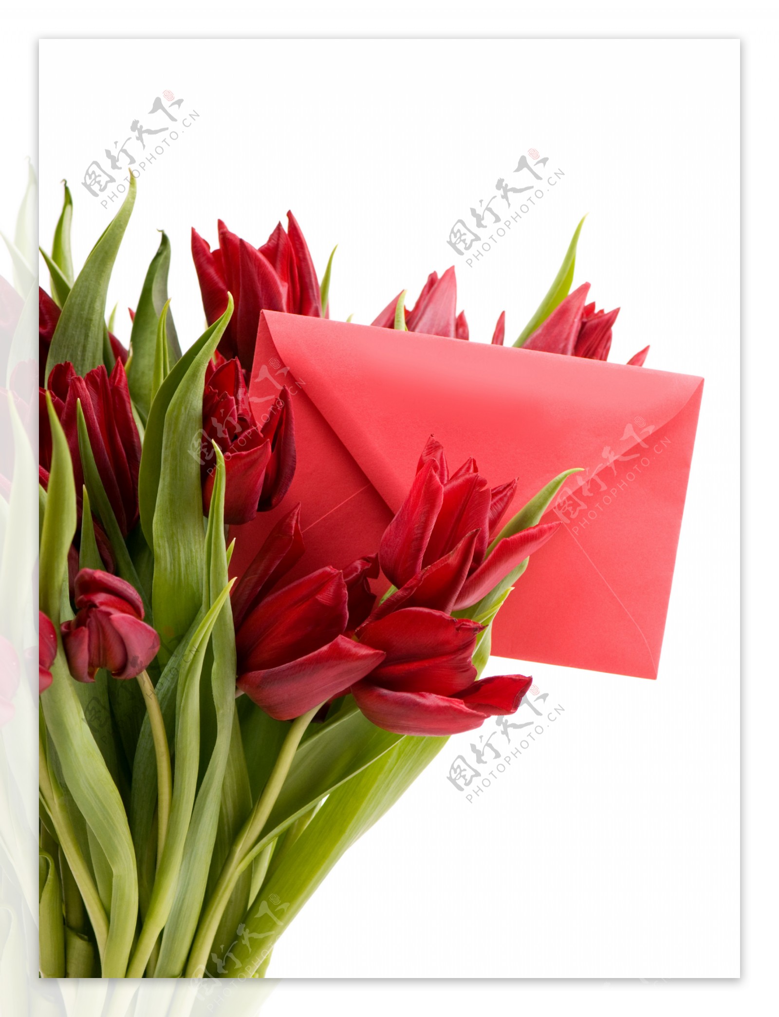 红色信封和郁金香花束图片