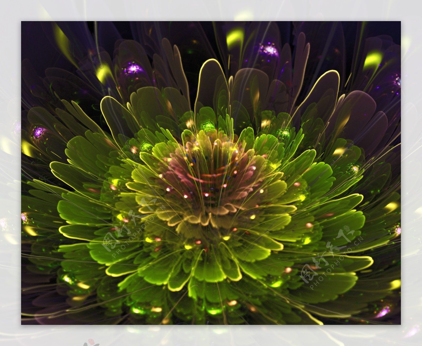 绚丽的3D立体花朵高清图片