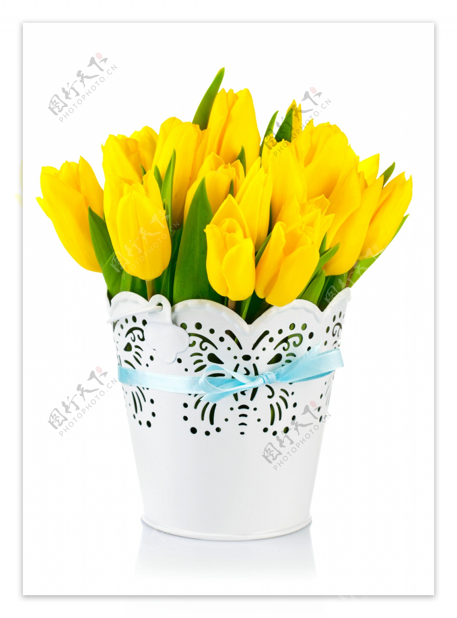 花瓶里的黄色郁金香图片