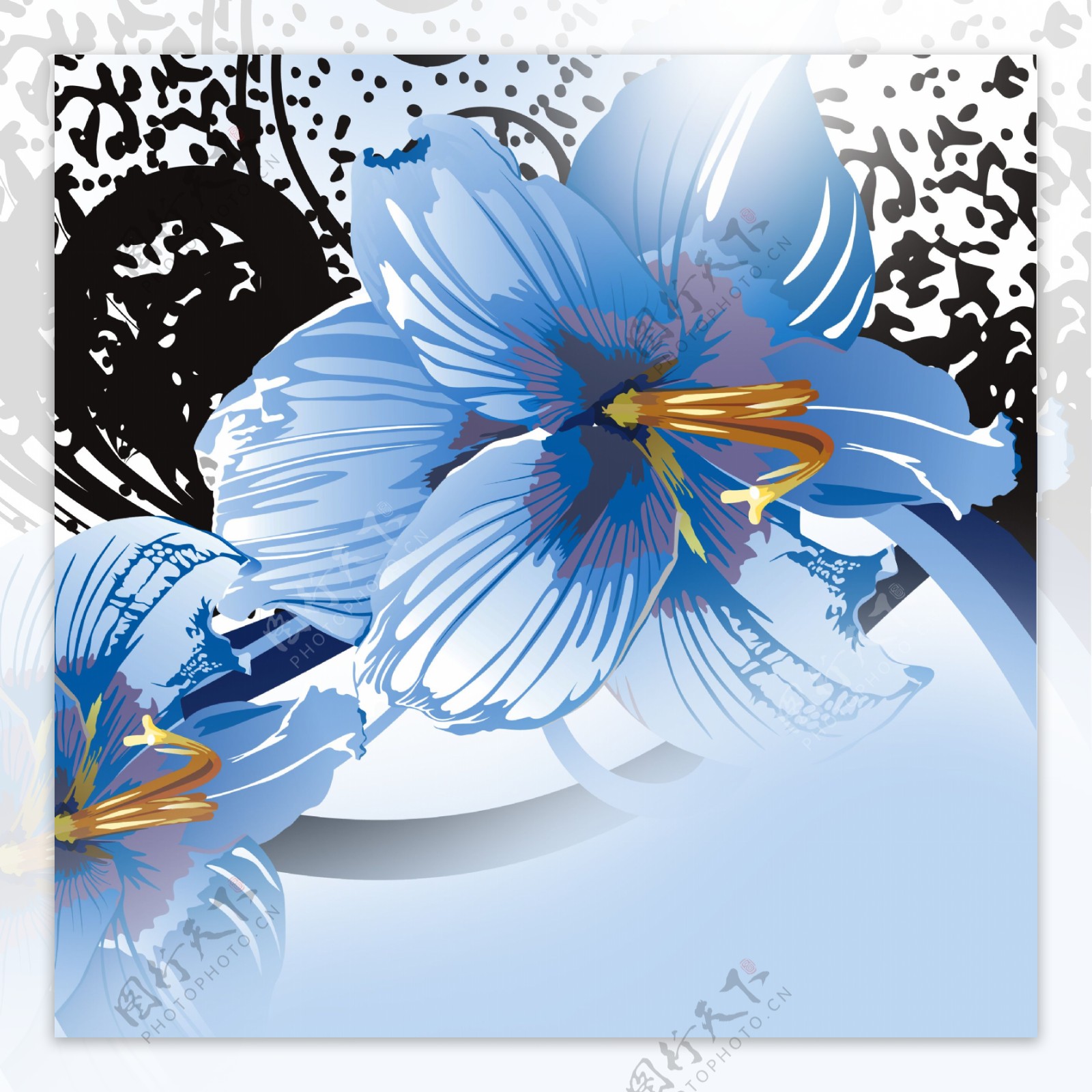 淡雅蓝色花朵装饰画