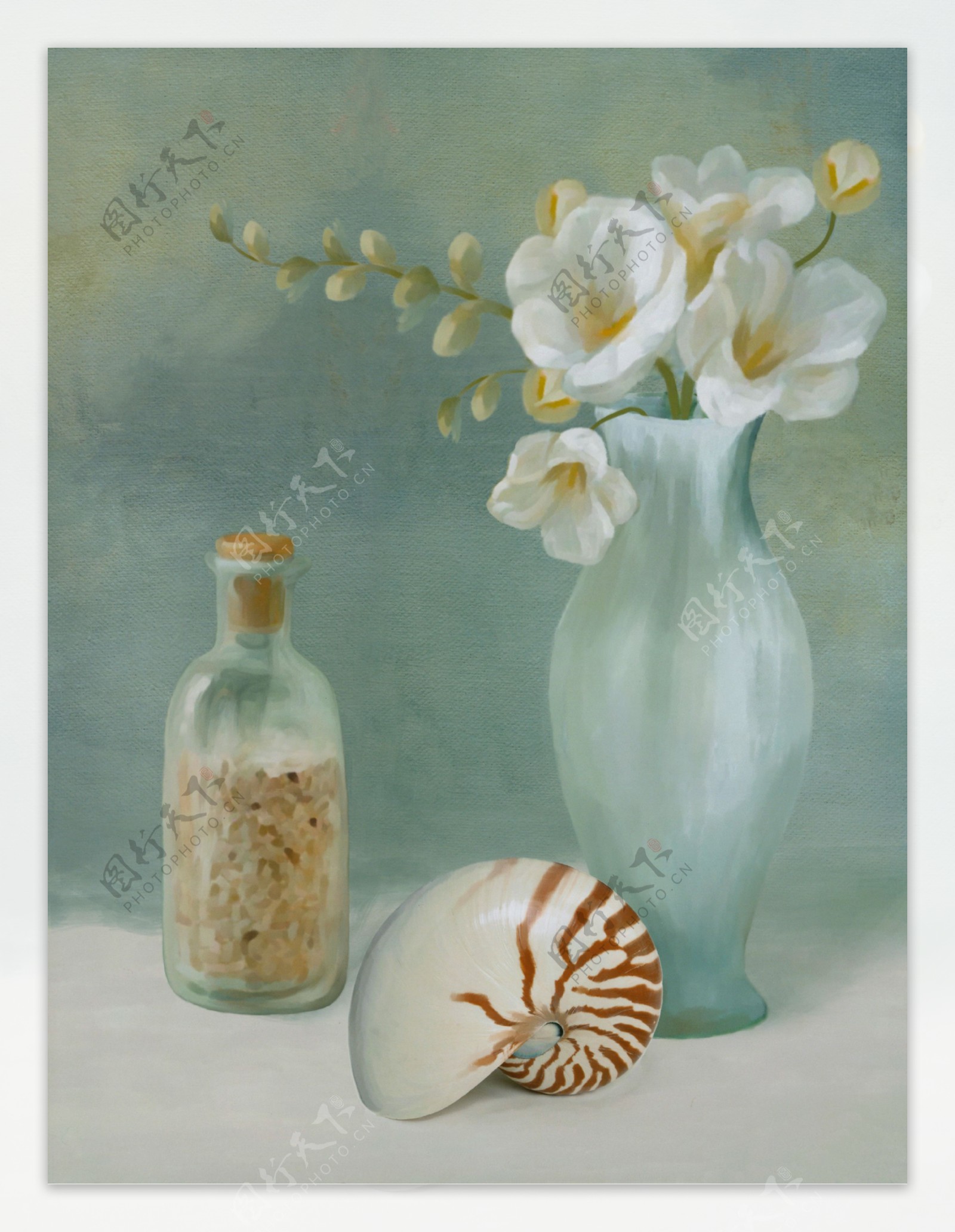 海螺花瓶静物油画图片