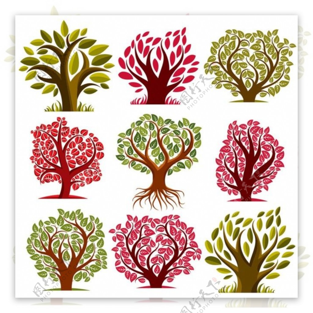 红叶与绿叶树木图片