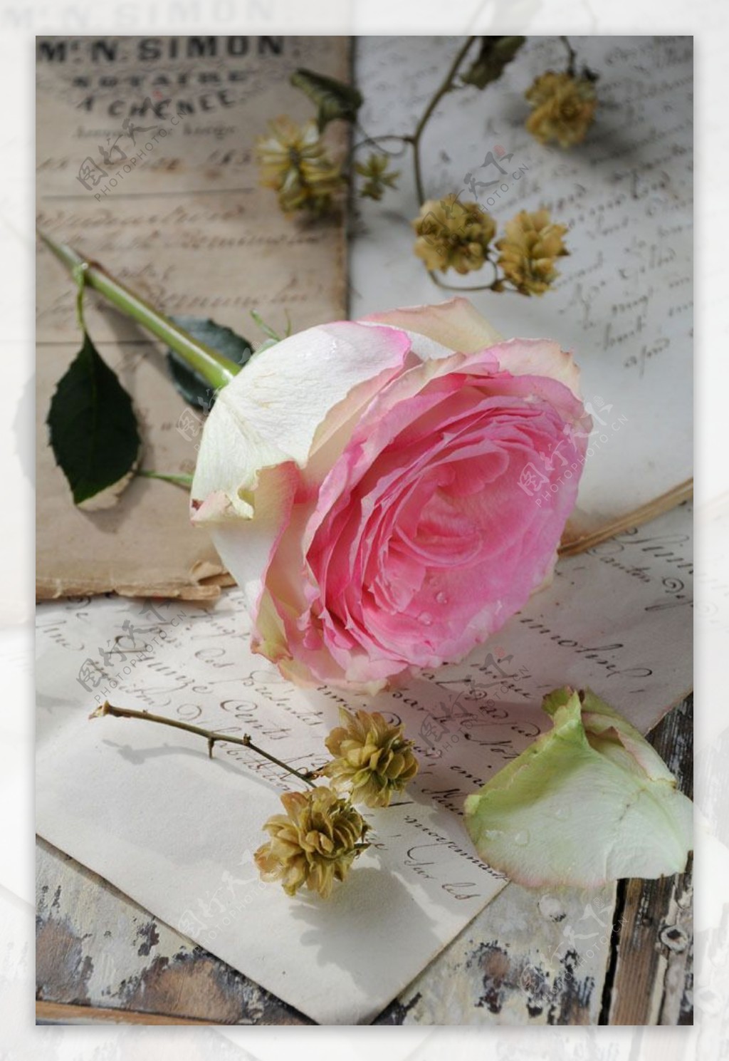 英文笔记上的玫瑰花图片