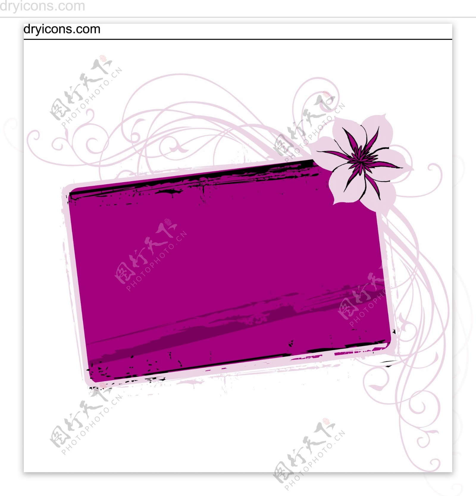 紫色方框花朵丝纹理设计