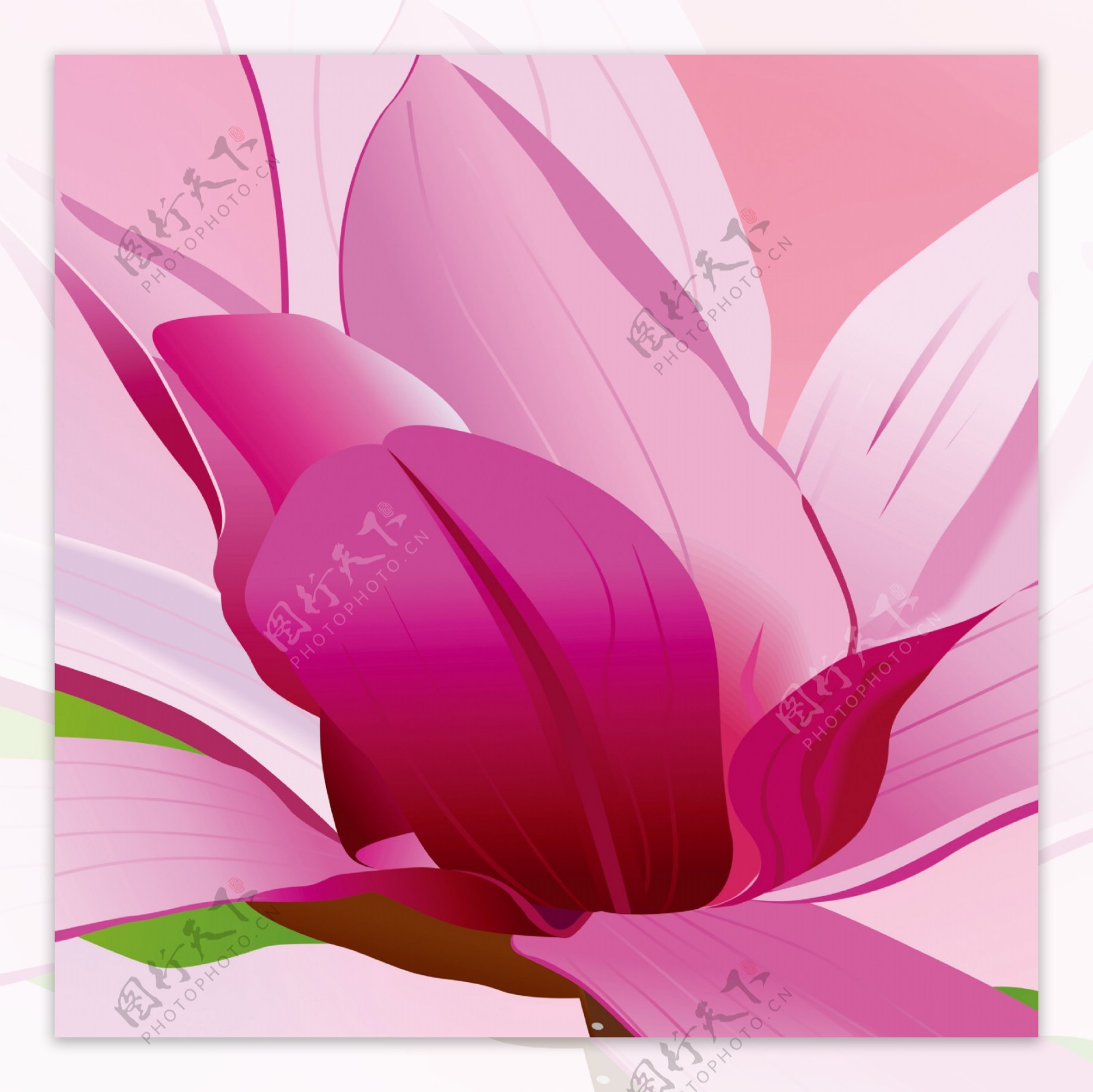 美丽粉色花朵装饰画