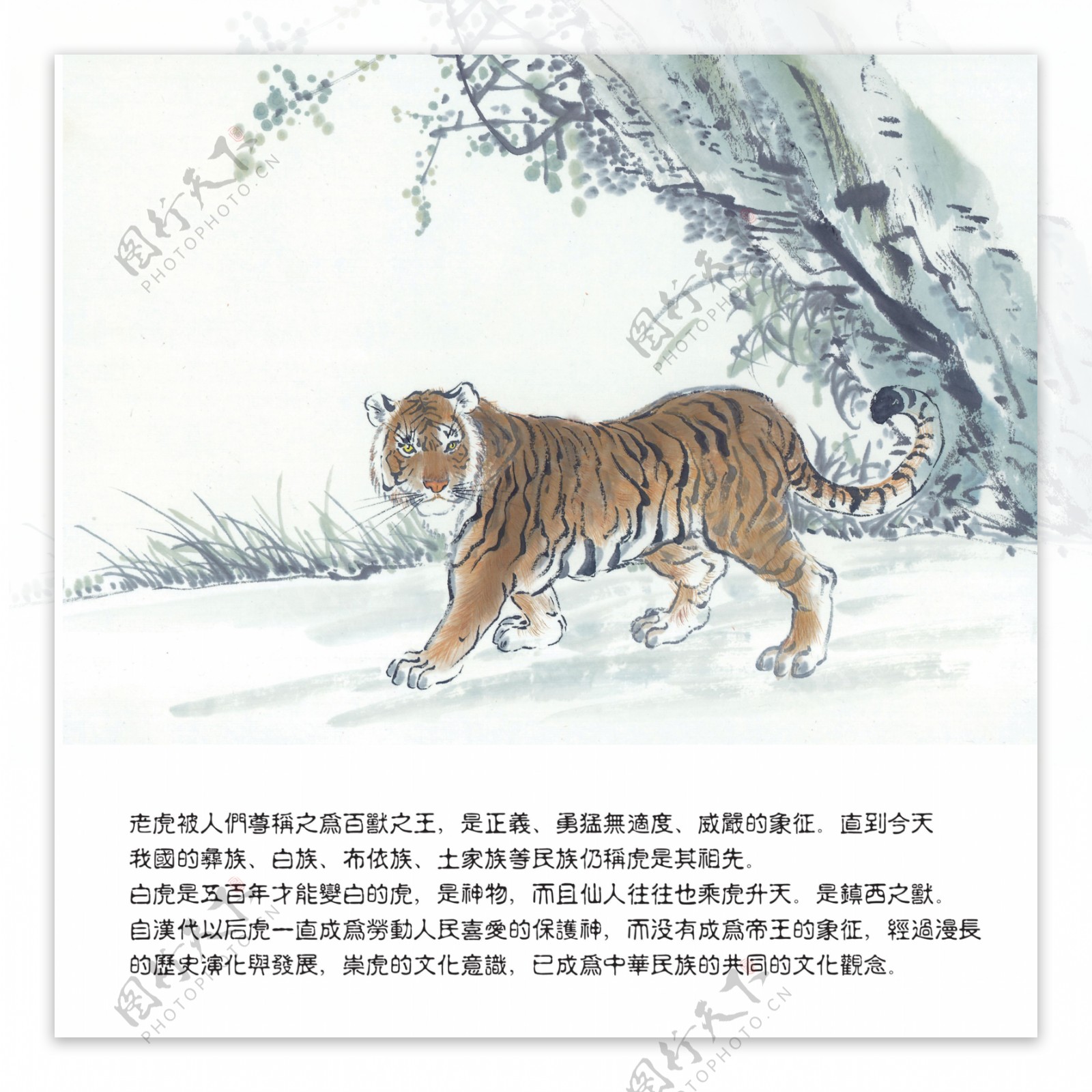 森林之虎装饰画