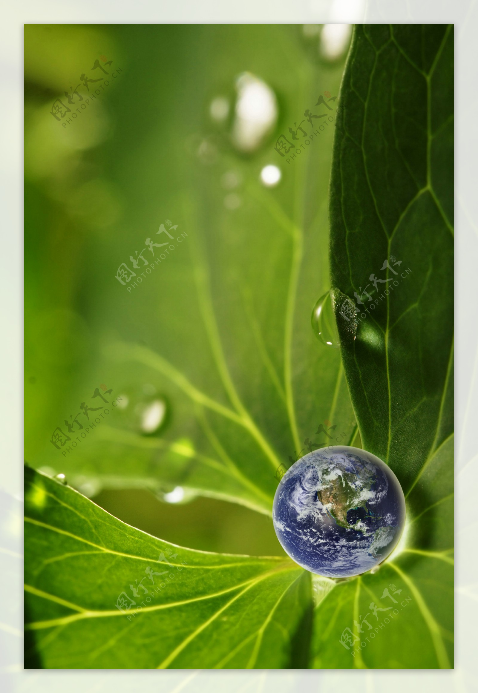 创意地球环保概念图片