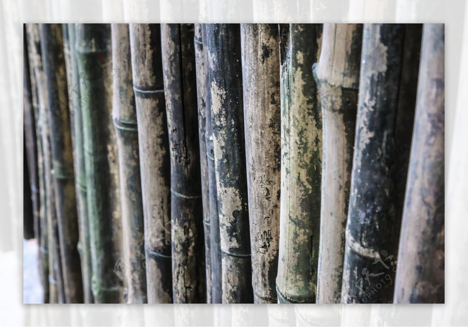 竹排摄影图片