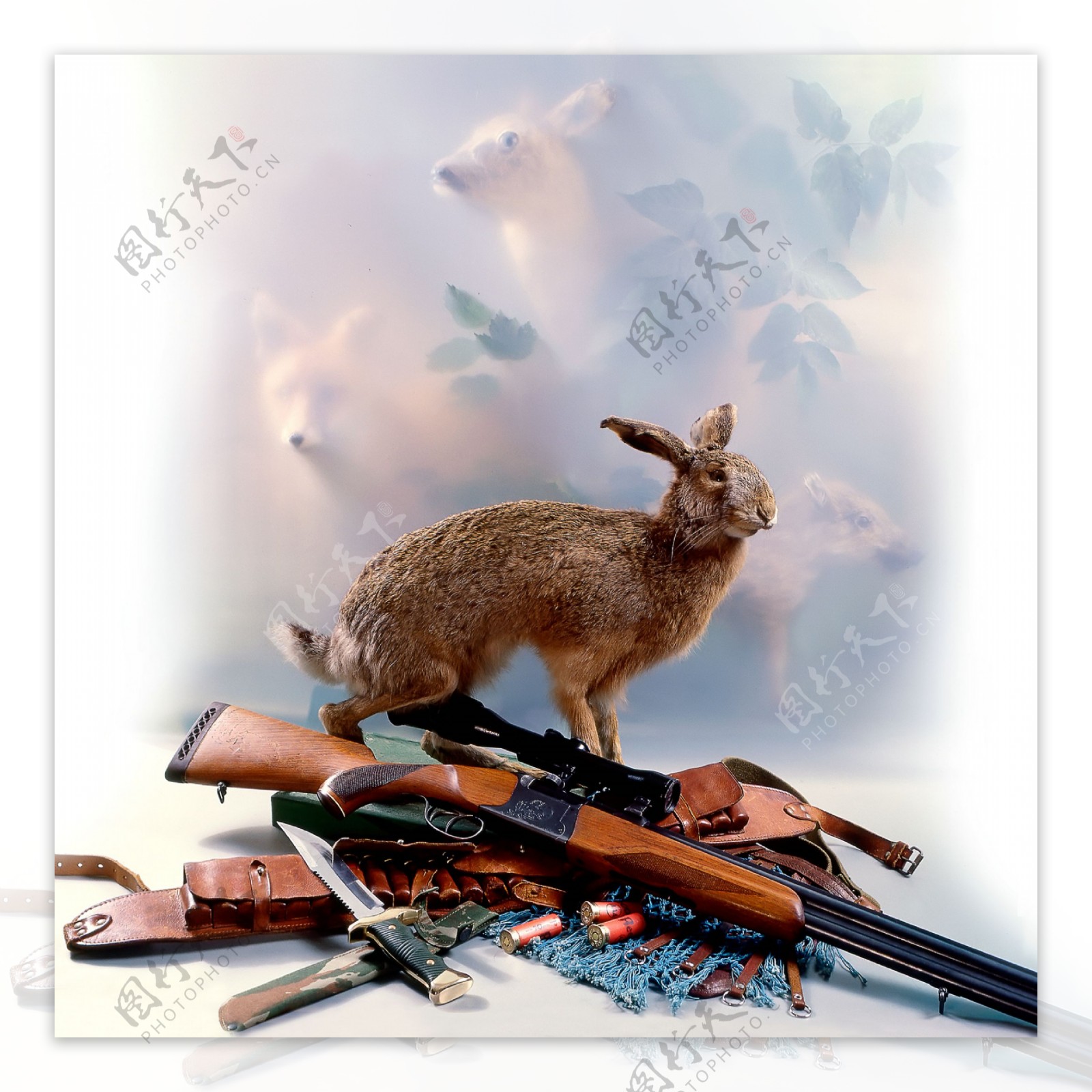 狩猎的工具与动物图片