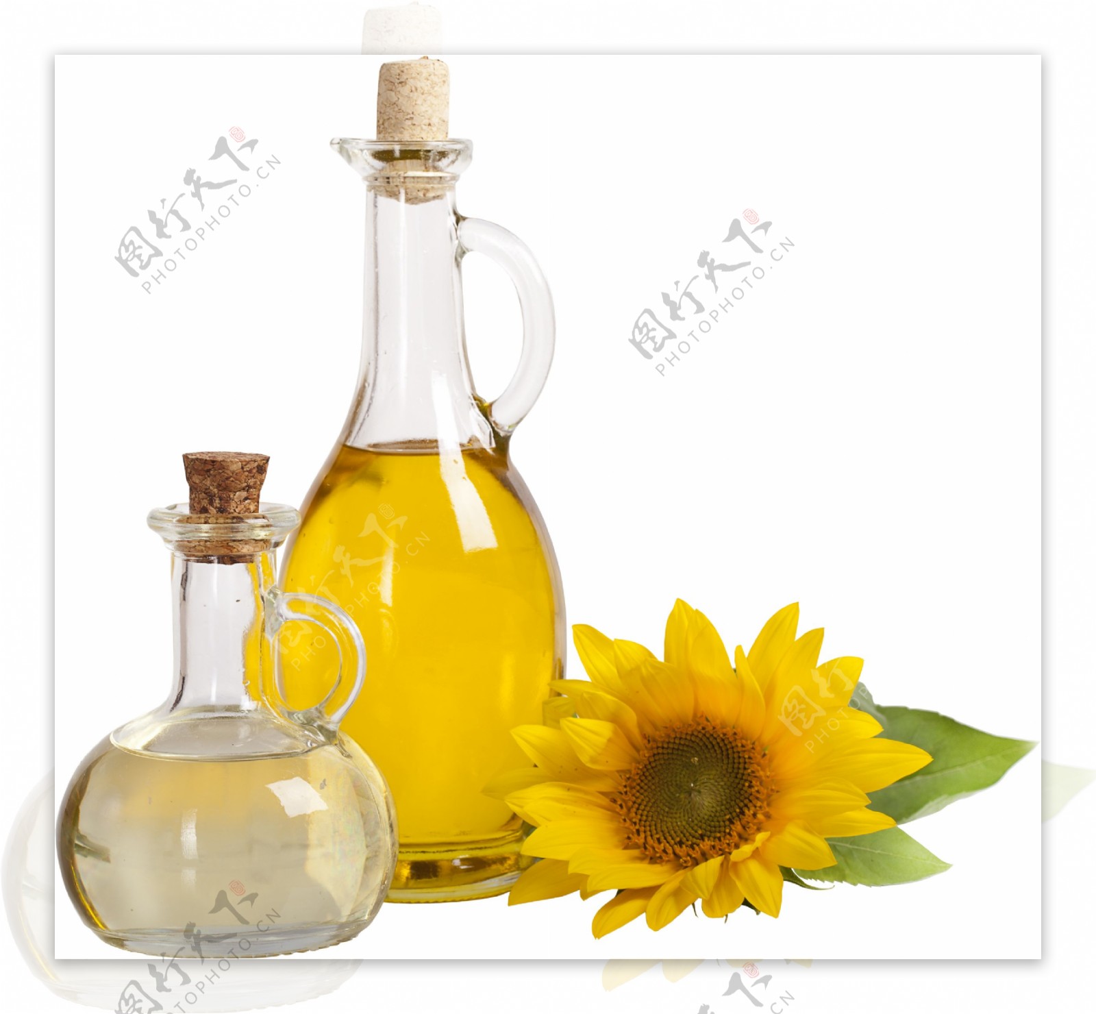 葵花油和油瓶图片
