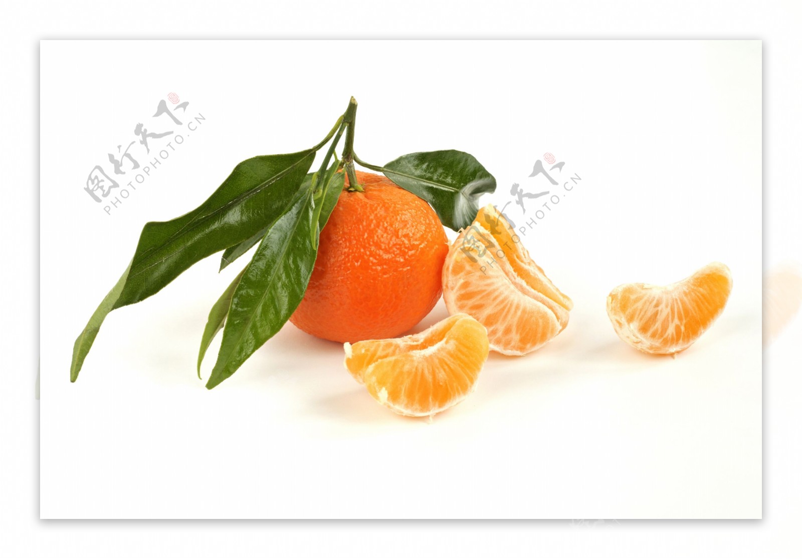 橘子与橘子瓣图片