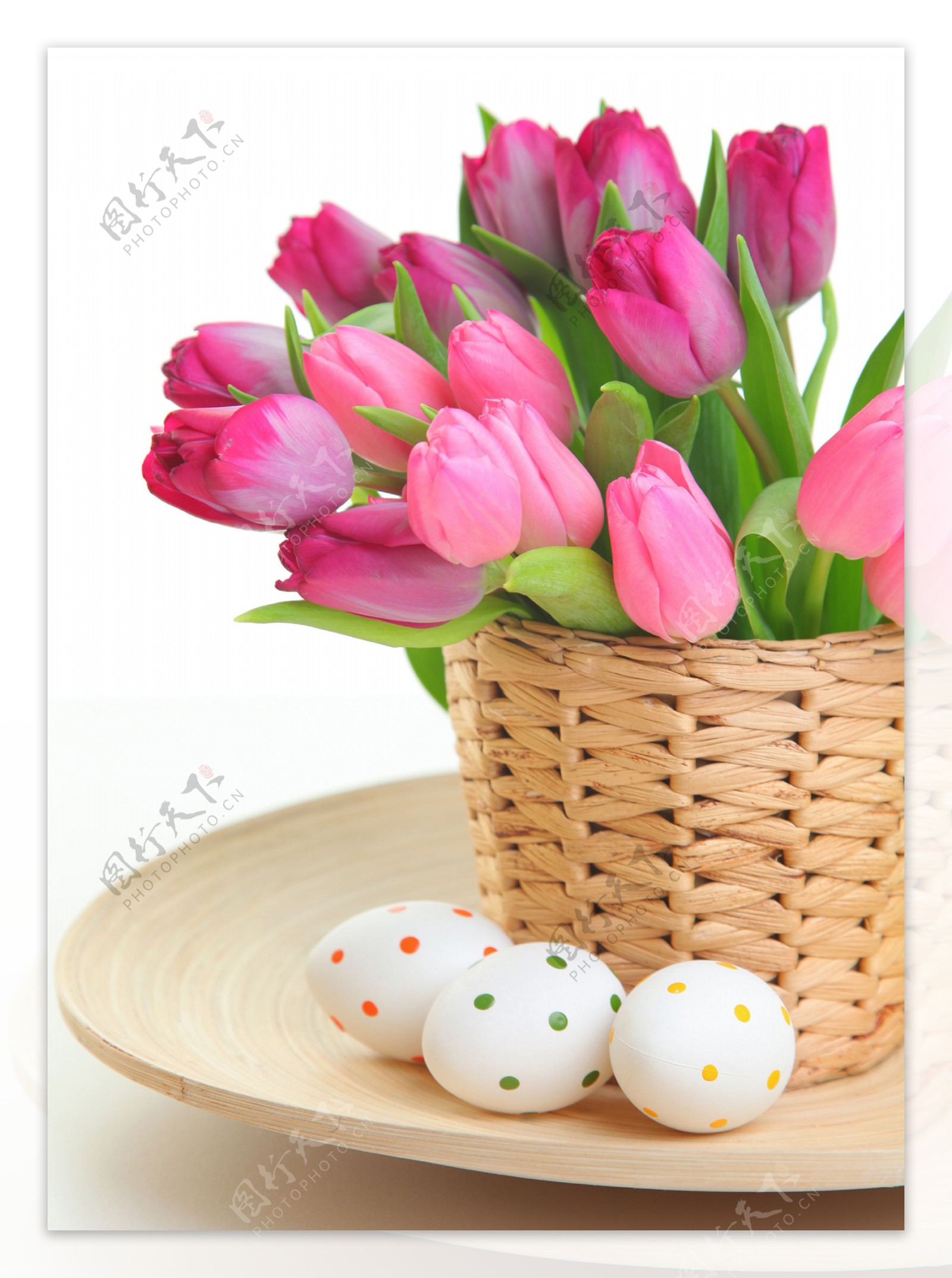 郁金香花朵与彩蛋图片