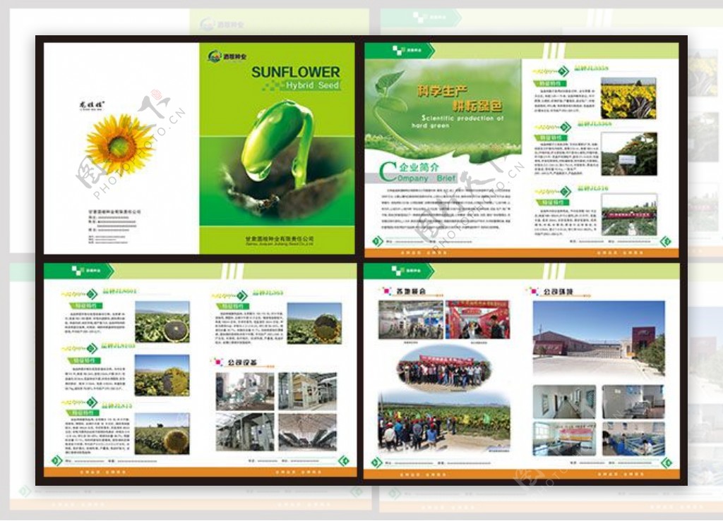 绿色种子企业画册设计模板PSD素材
