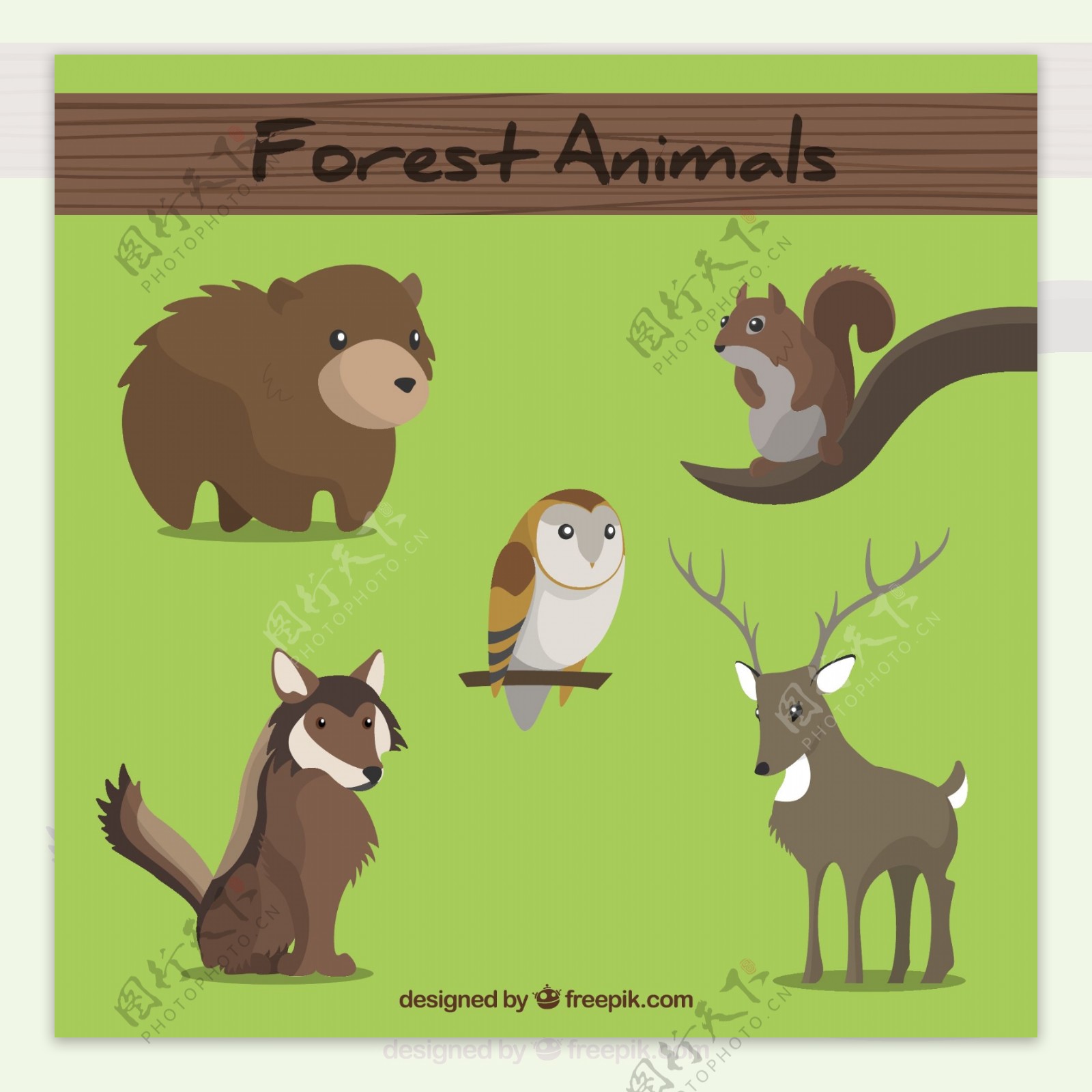 森林里的动物