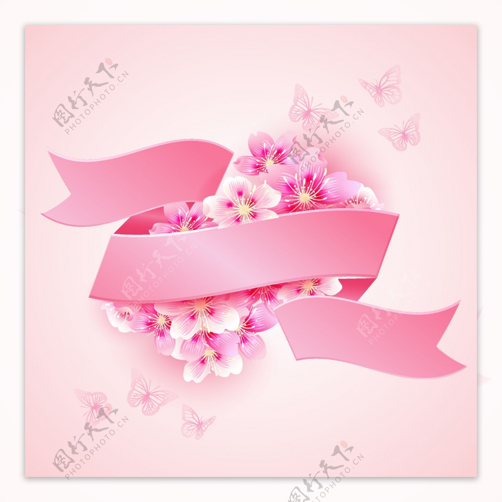 樱花粉红丝带图片