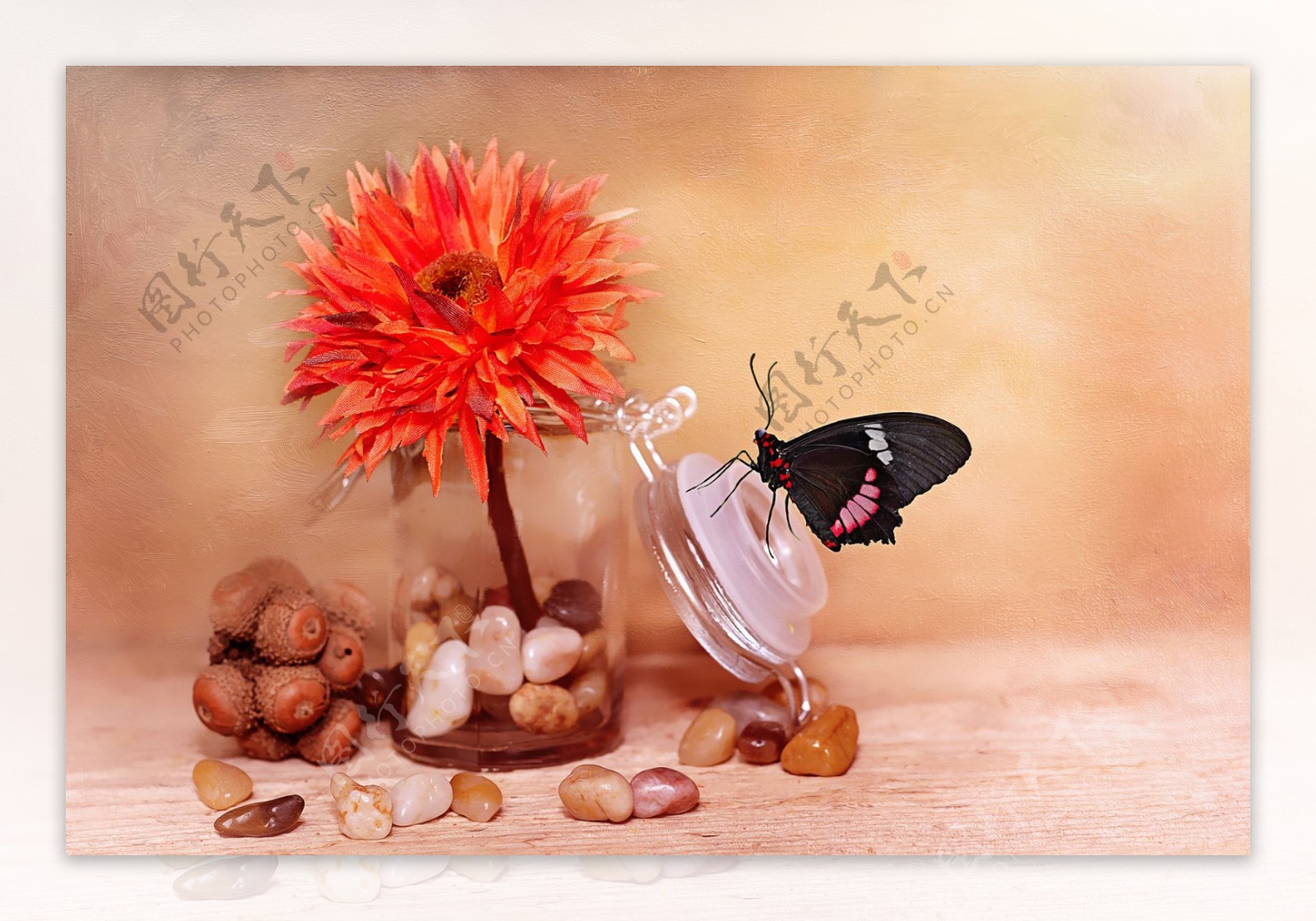 花卉装饰画花瓶上的蝴蝶