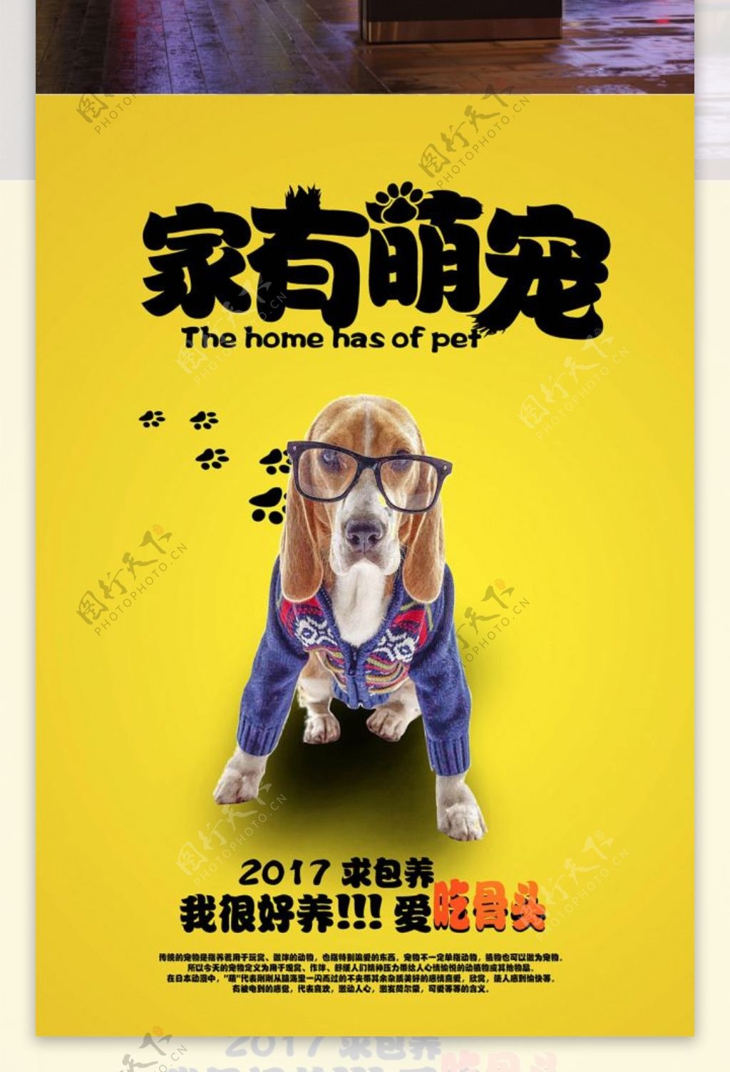 宠物狗萌宠宣传海报