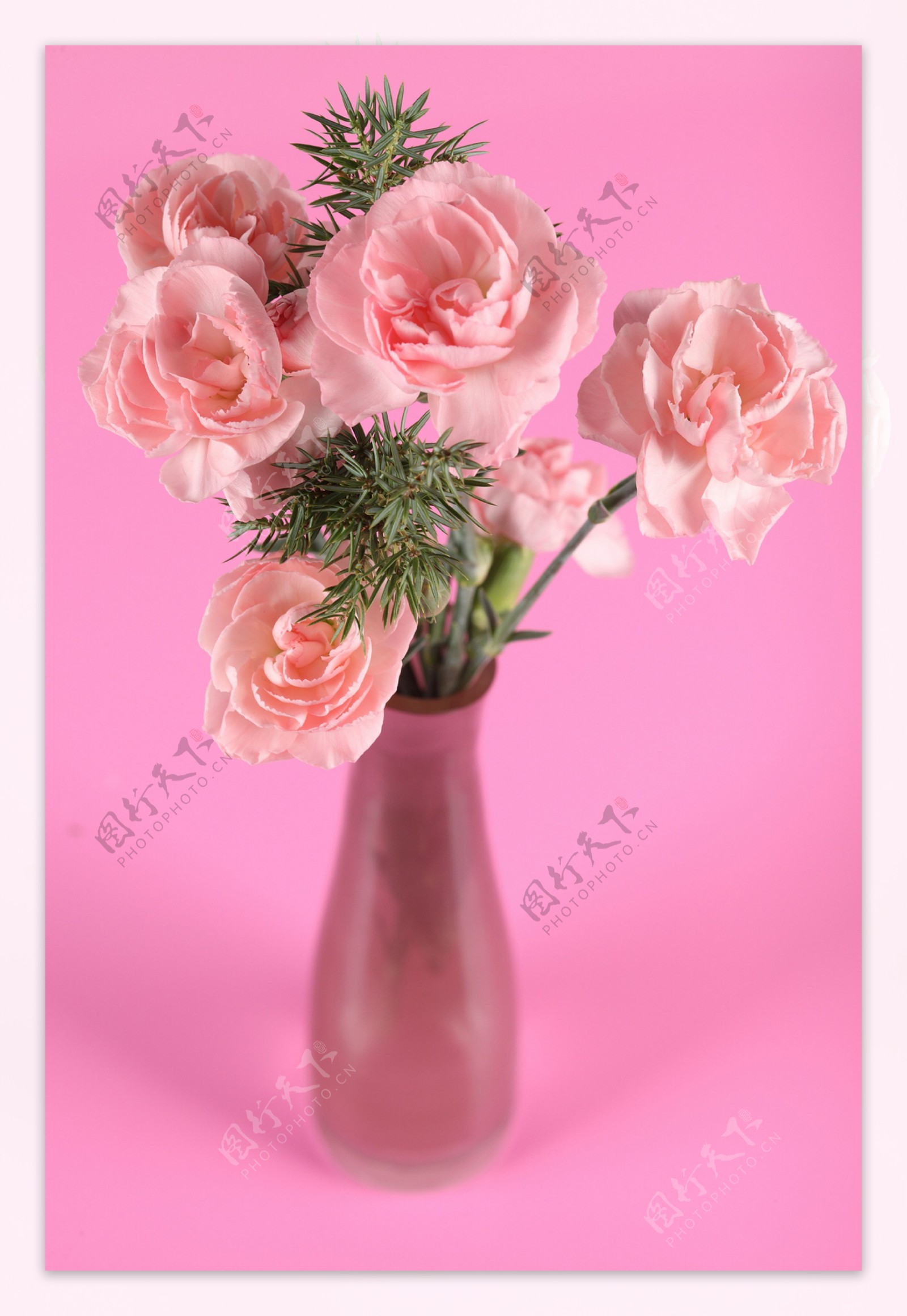 粉色玫瑰花瓶图片