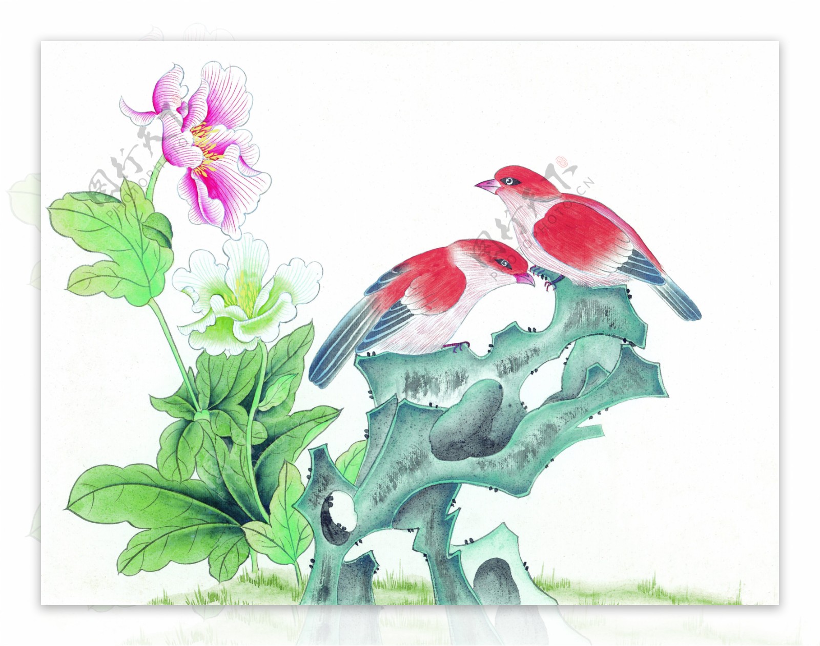 植物花卉与红喜鹊图片