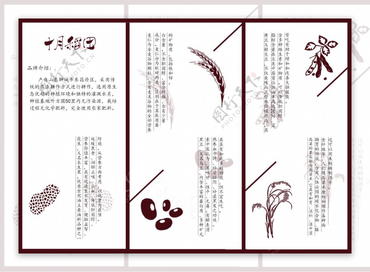 三折页设计谷物折页十月稻田