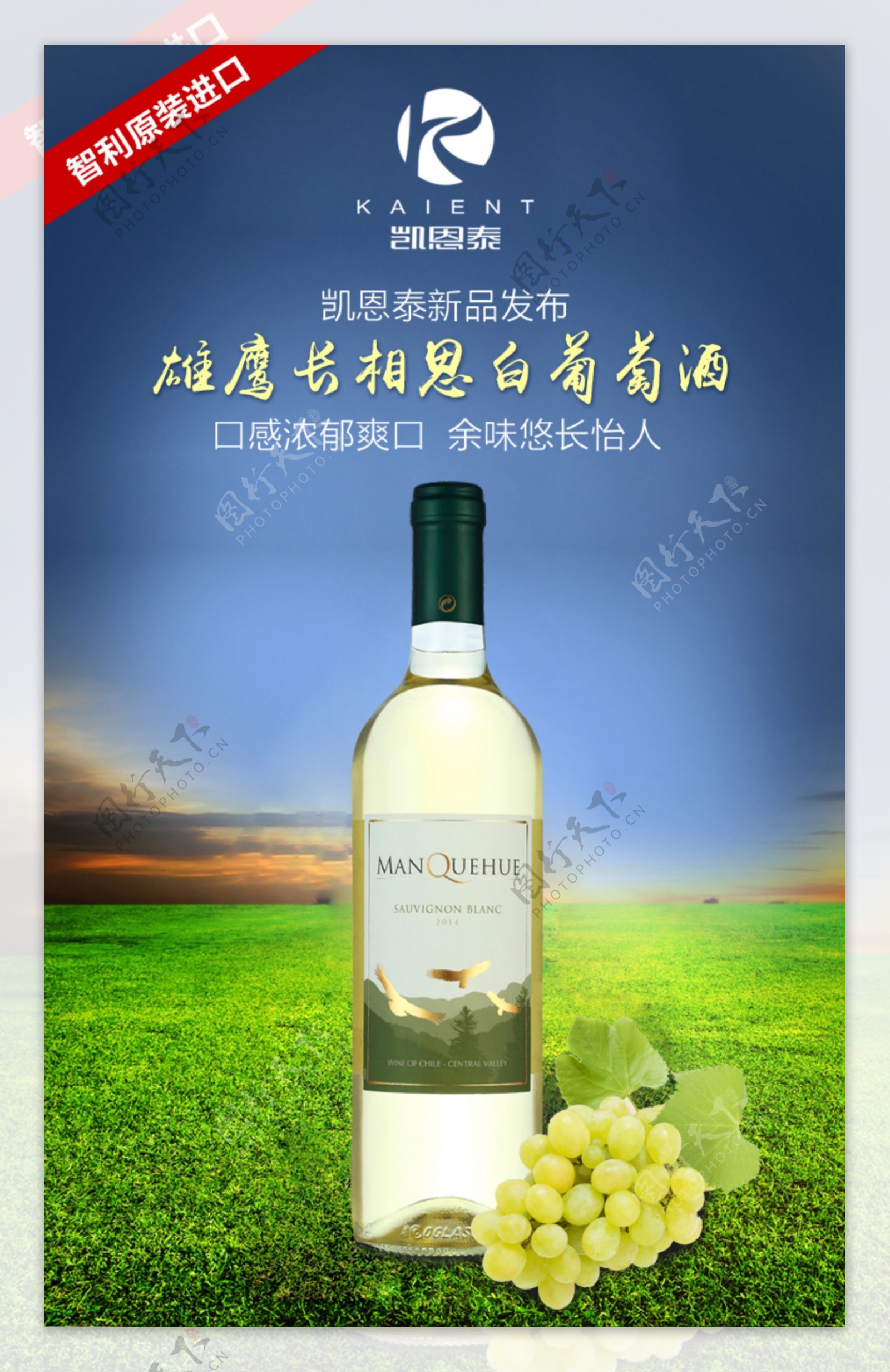 白葡萄酒海报