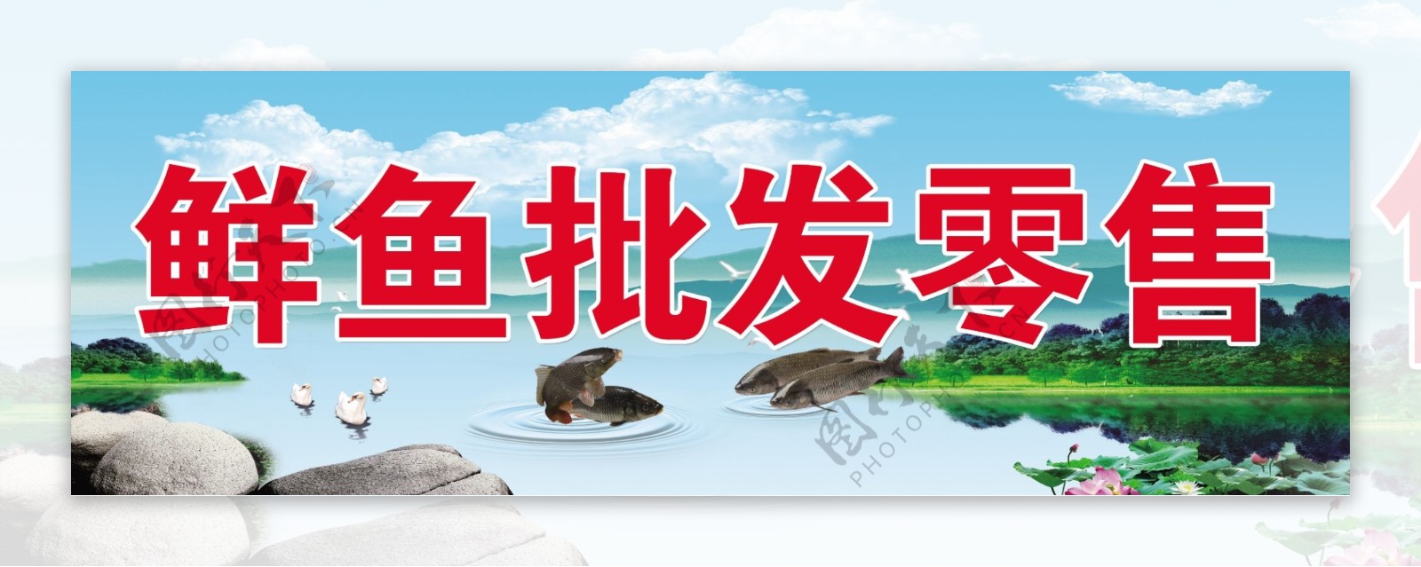 鲜鱼批发零售海报