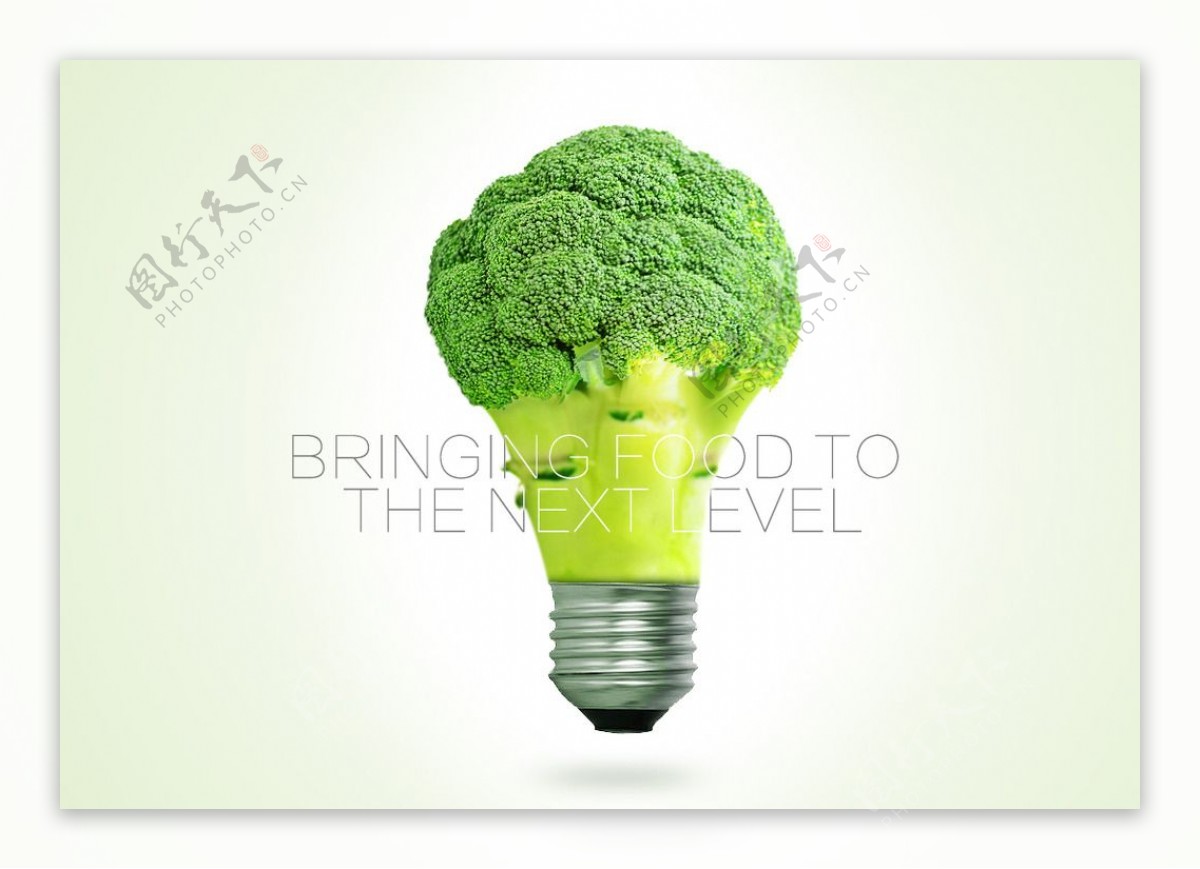 创意蔬菜灯泡