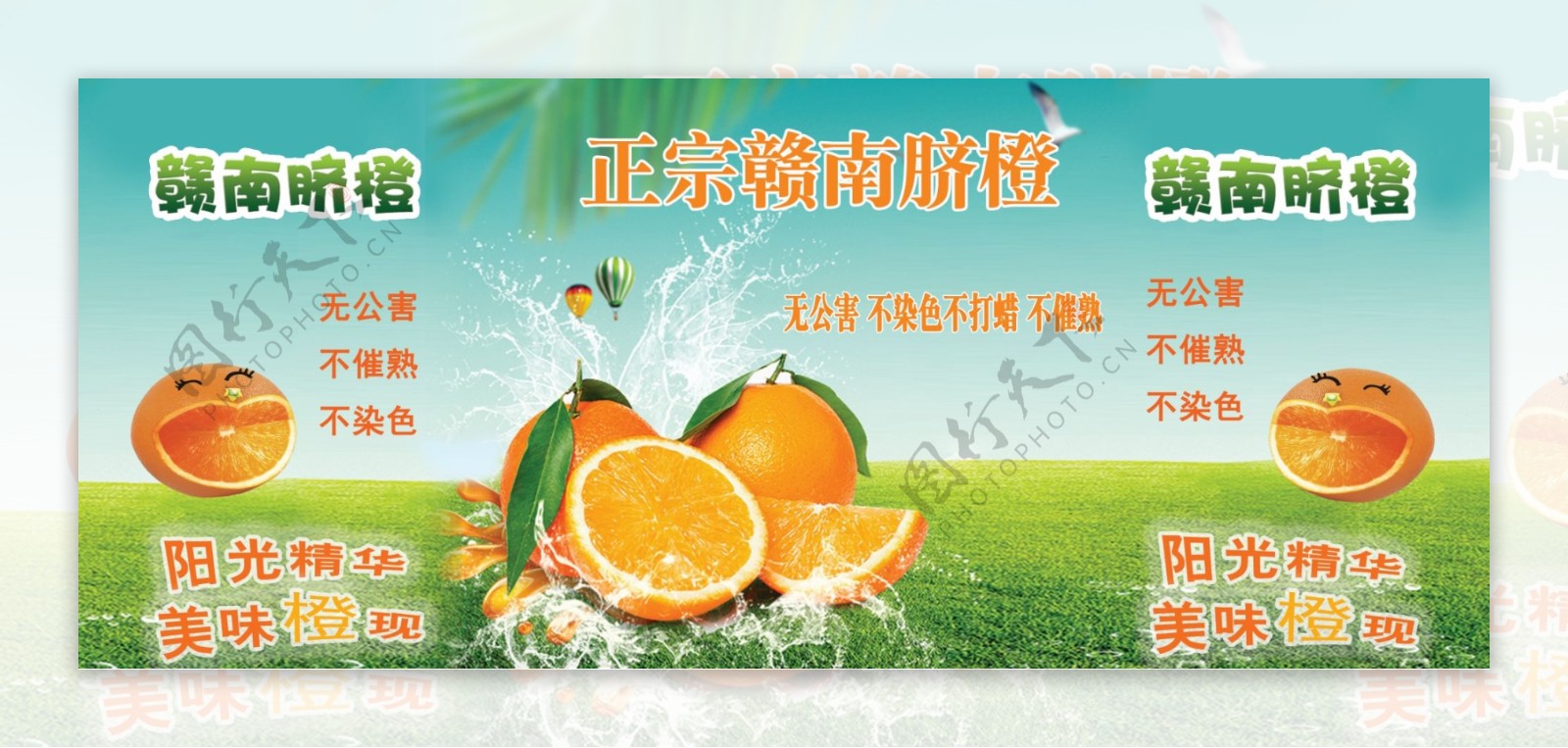 赣南脐橙广告宣传水果