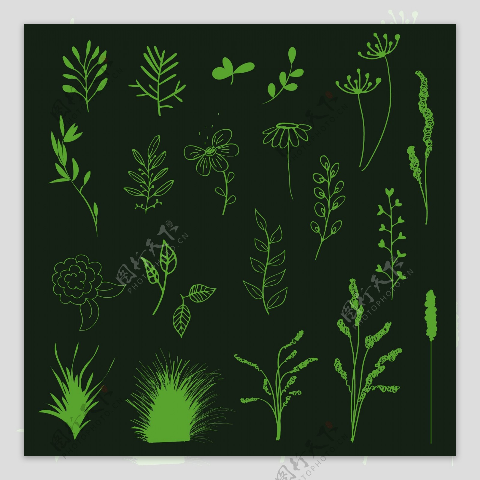 绿色植物鲜花背景图