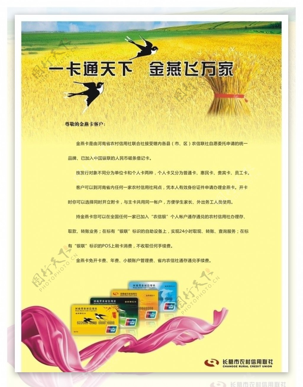 长葛市农村信用社金燕卡DM宣传单页设计