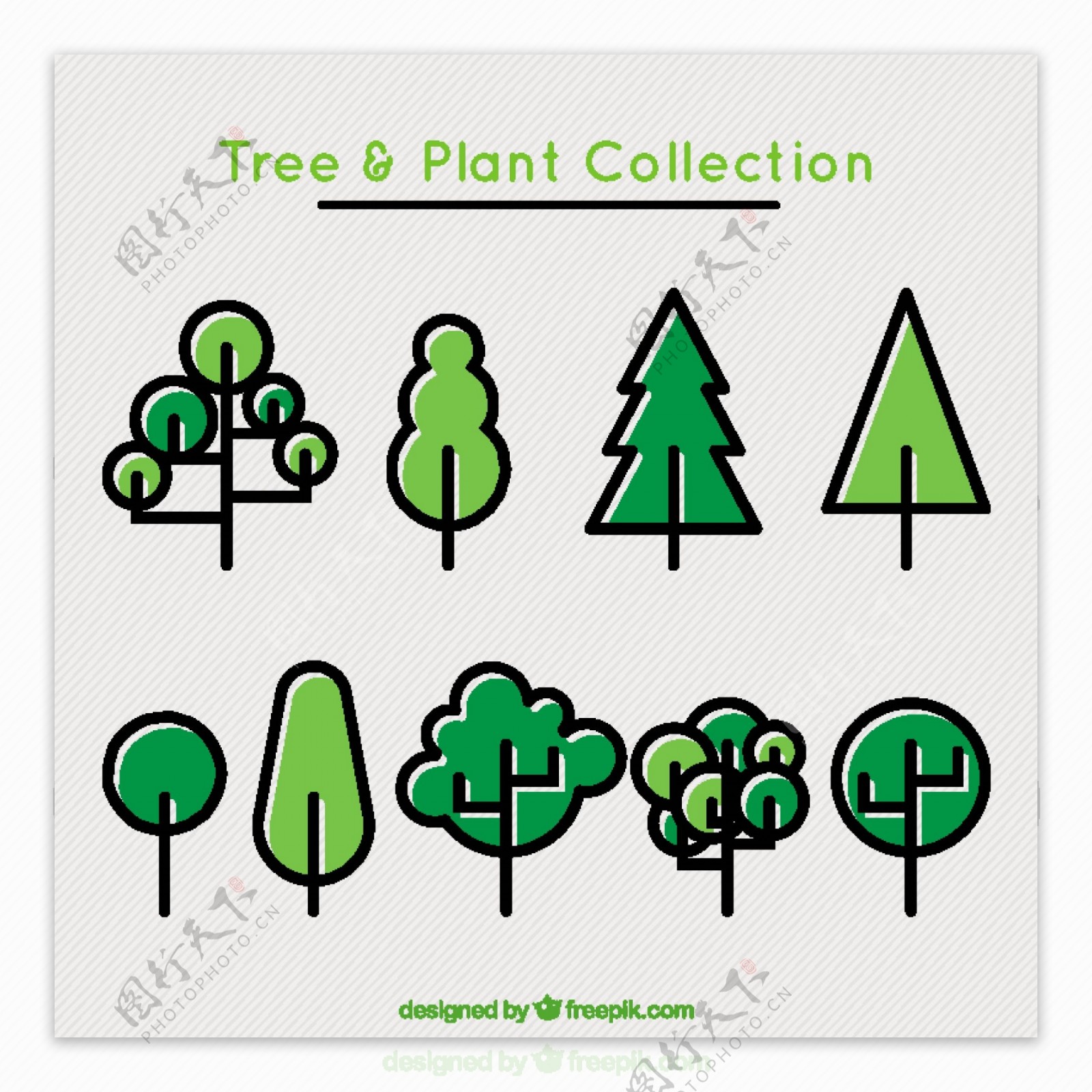 线性模式的树木和植物