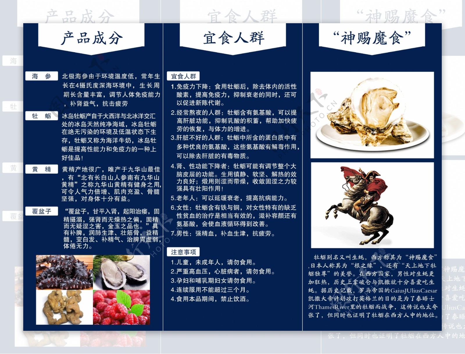 海参牡蛎片三折页宣传片宣传单