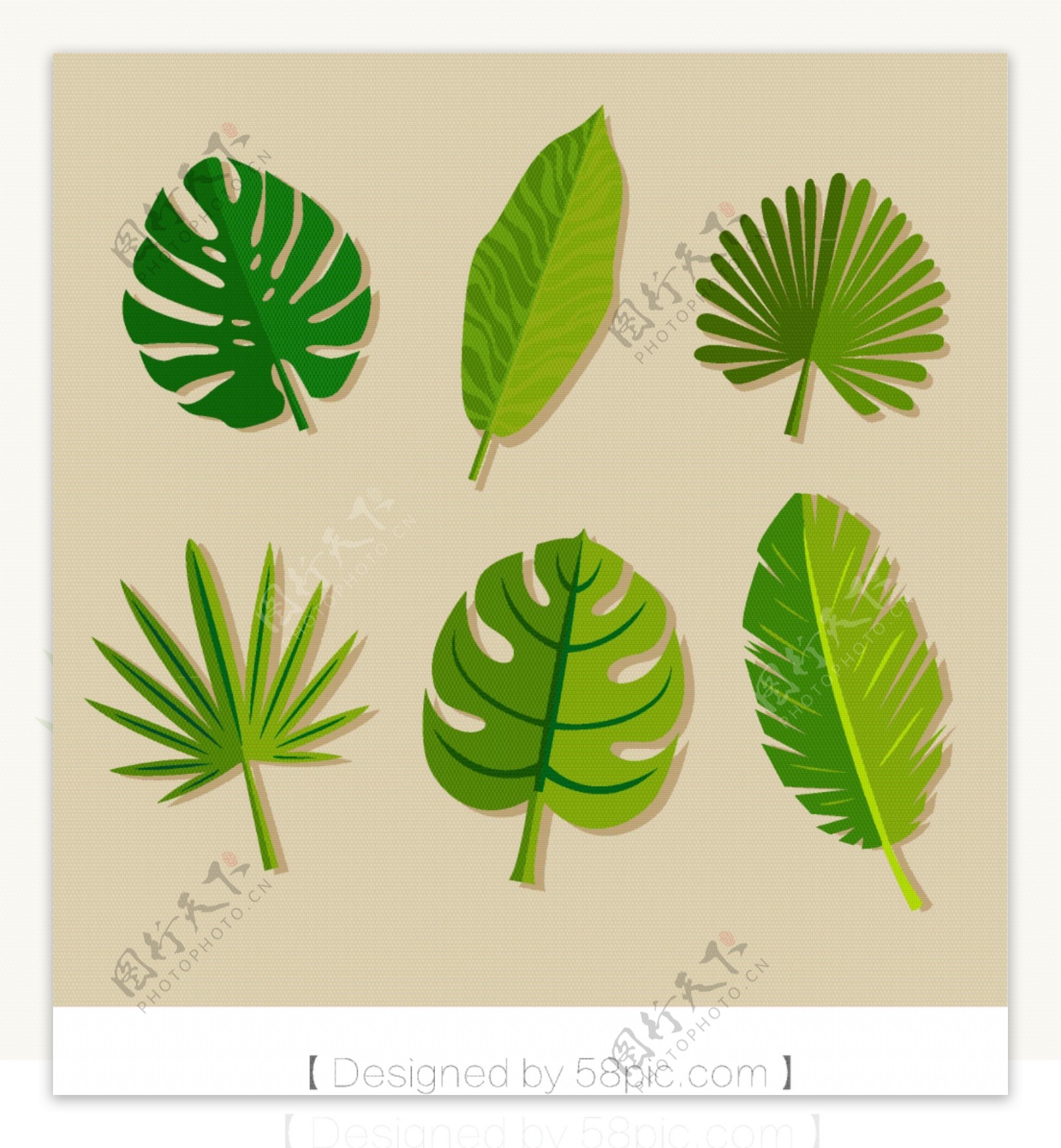 热带植物绿叶针叶素材元素