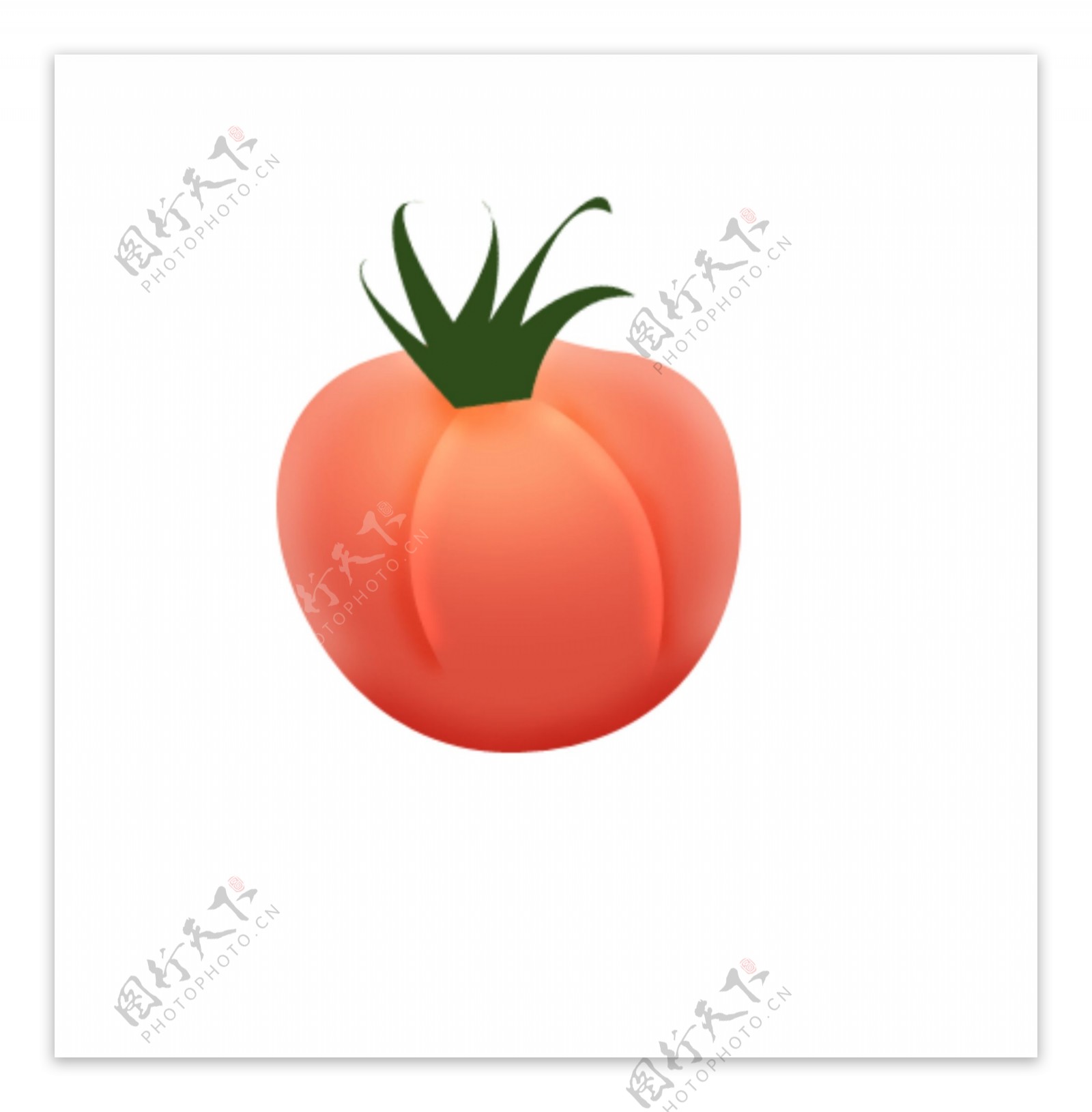 番茄水果失量图