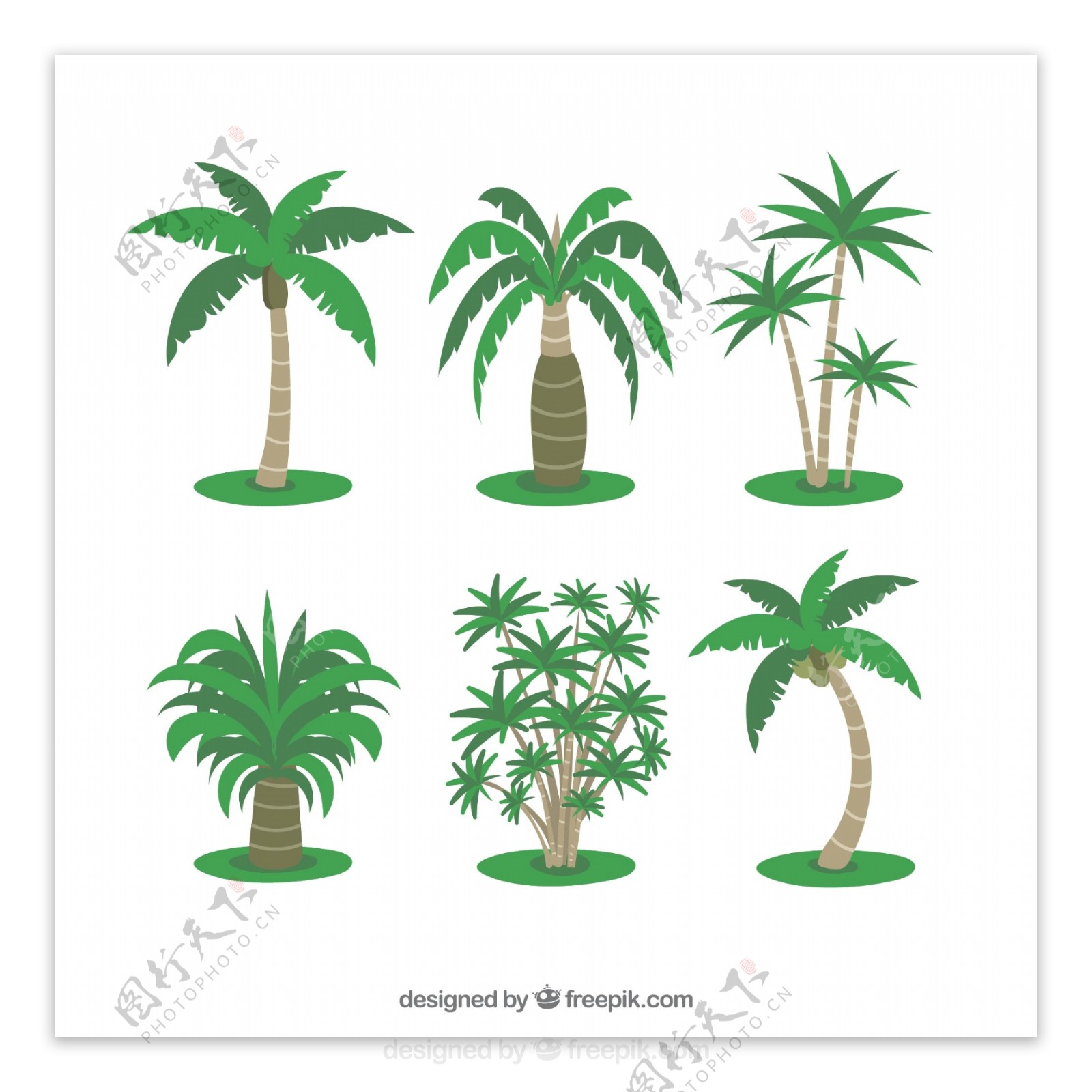 几个热带棕榈树矢量素材