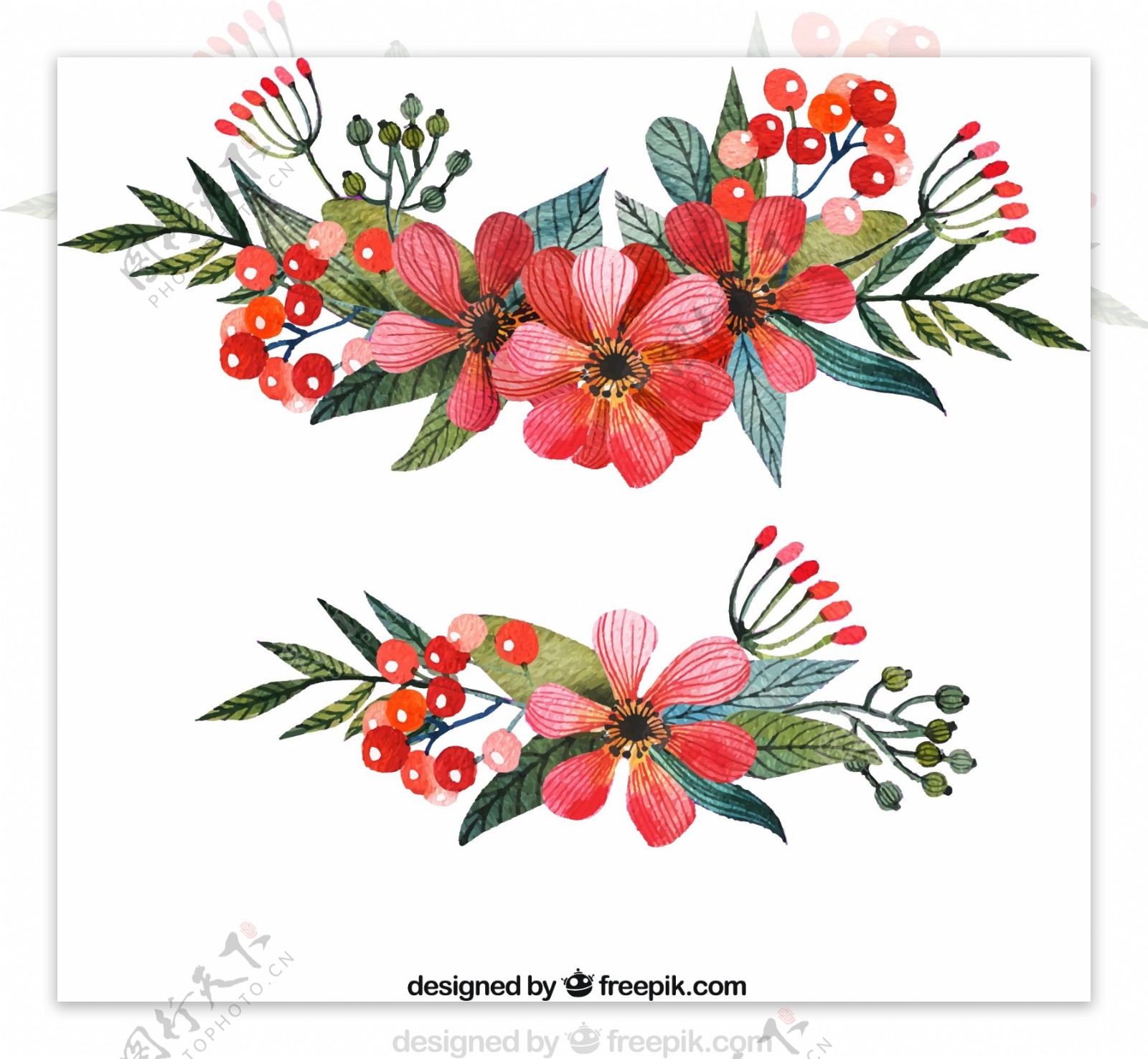 2款红色水彩绘花卉矢量素材