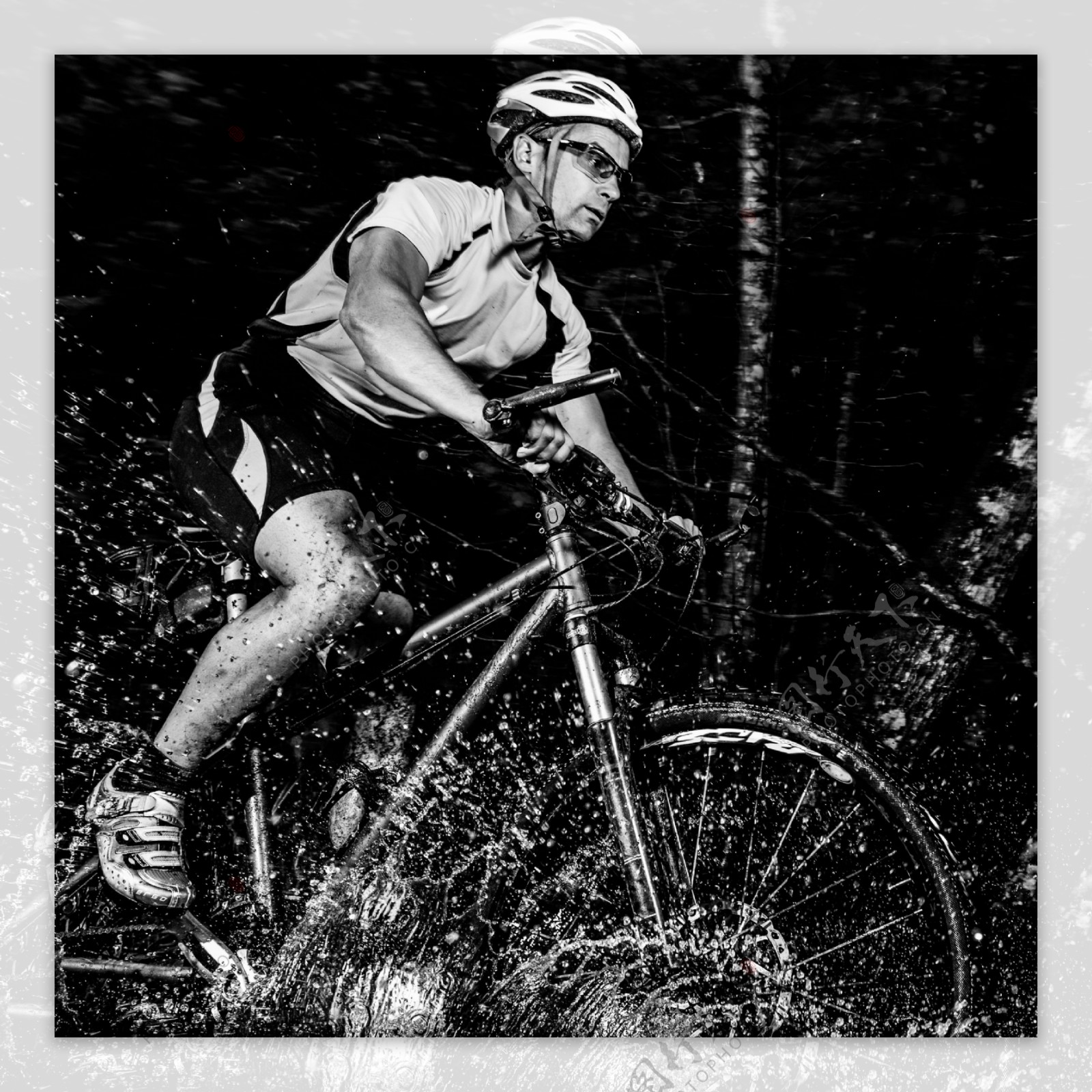 树林中骑自行车的男人图片