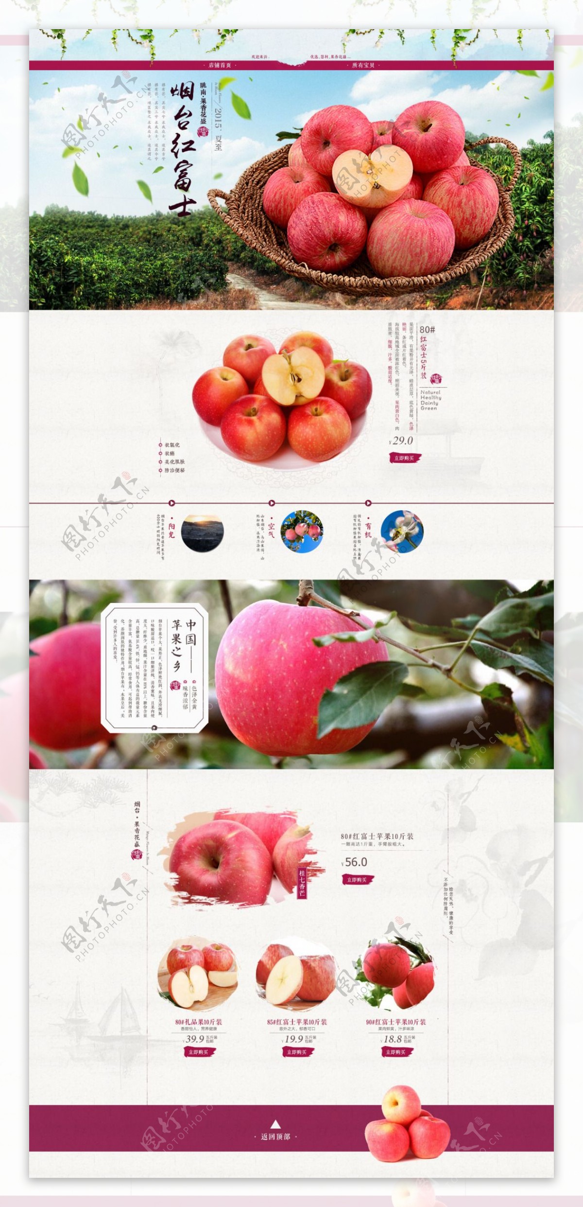 水果红富士苹果淘宝店铺首页模板