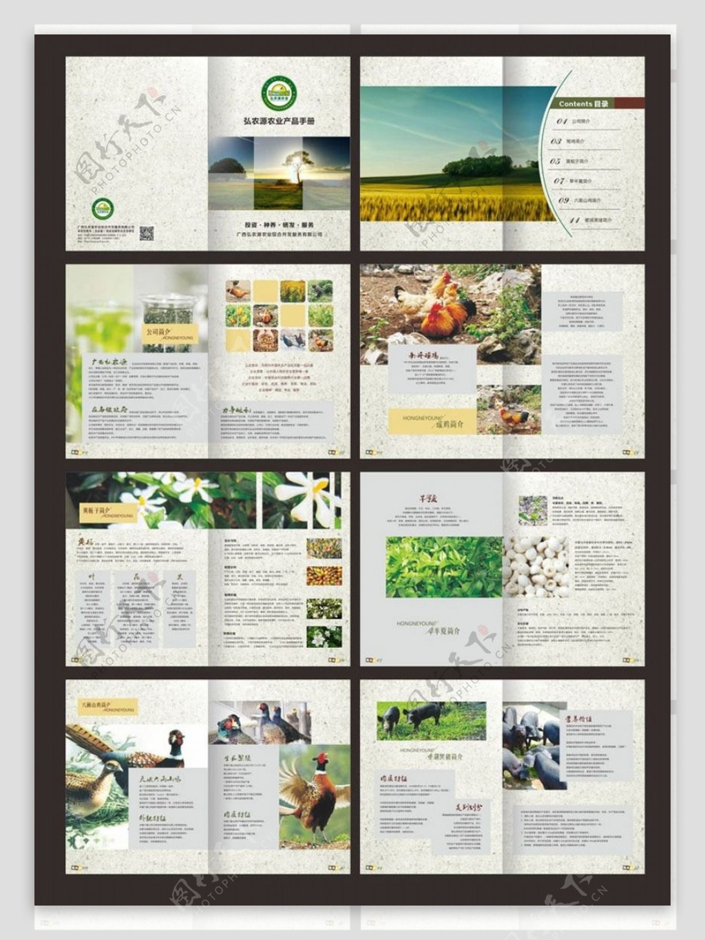 农副产品画册设计模板矢量素材