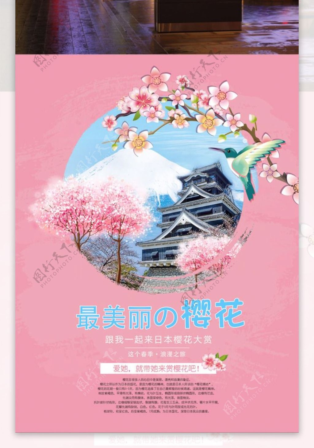 最美丽的樱花节海报