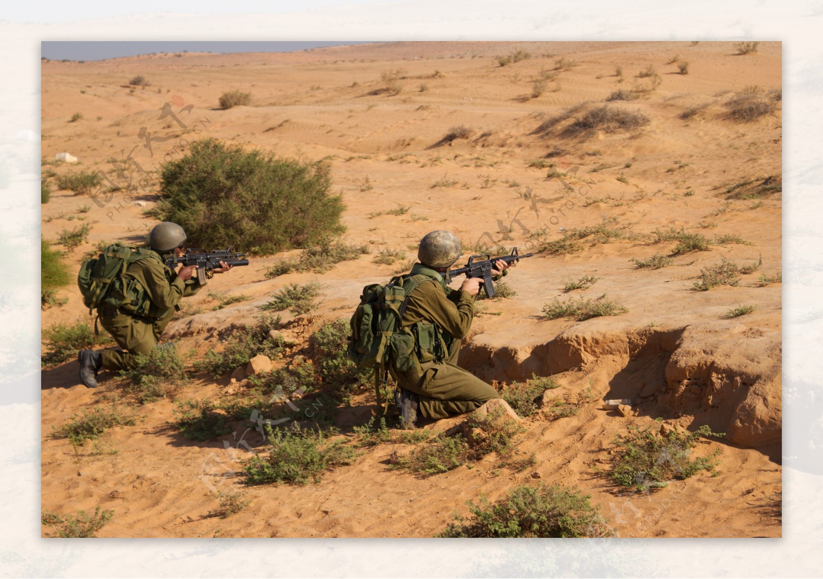 沙漠上的战士图片