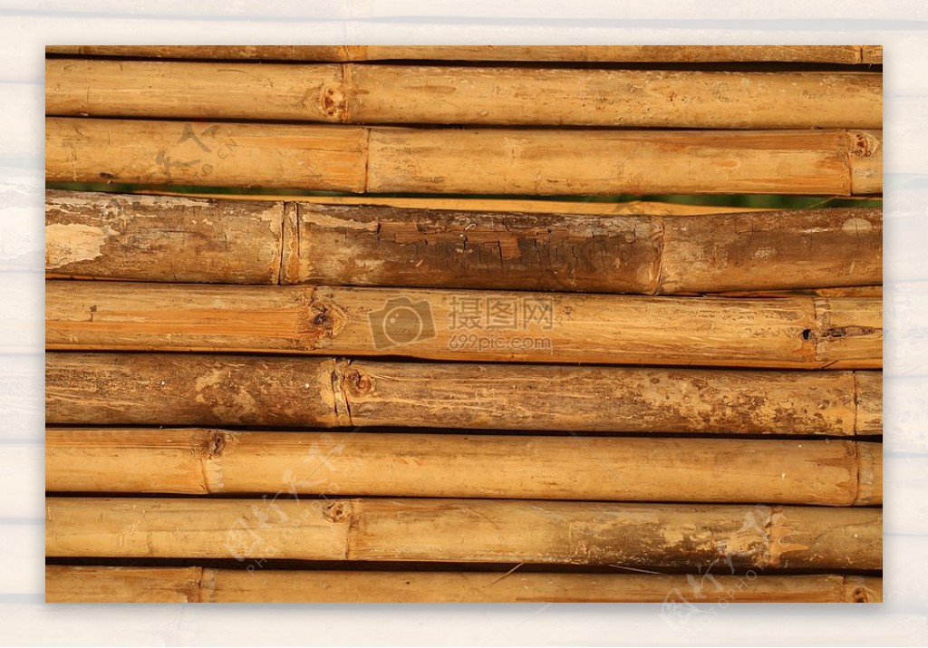 排列整齐的竹子