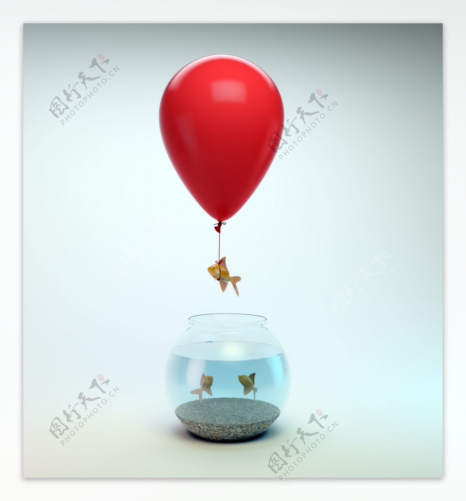 金鱼缸与气球