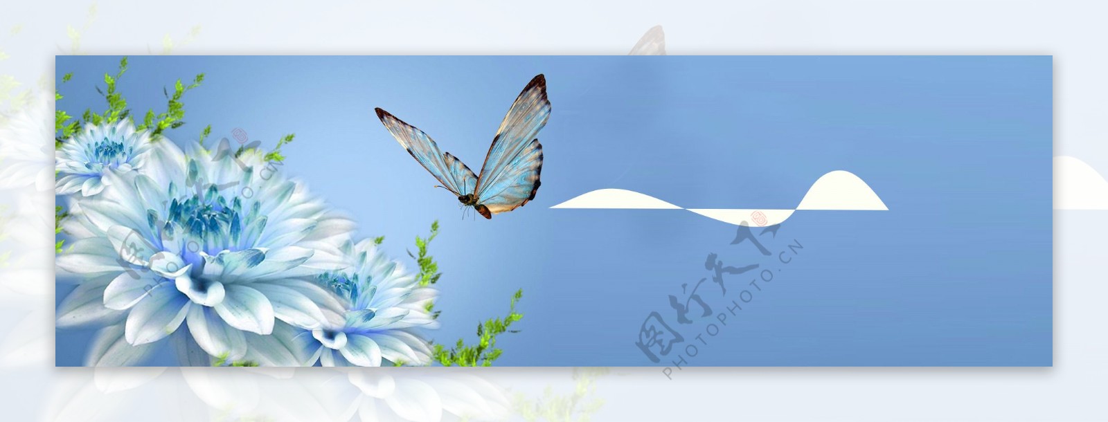 唯美蓝色鲜花蝴蝶背景图