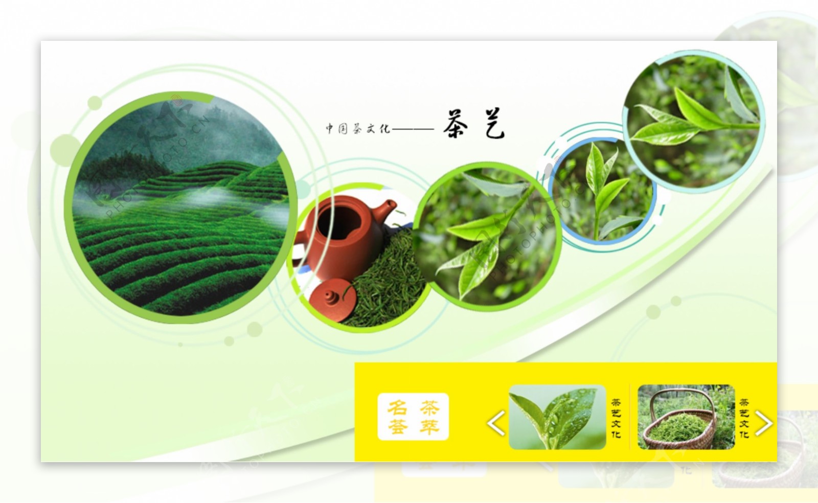 绿色茶叶网站banner