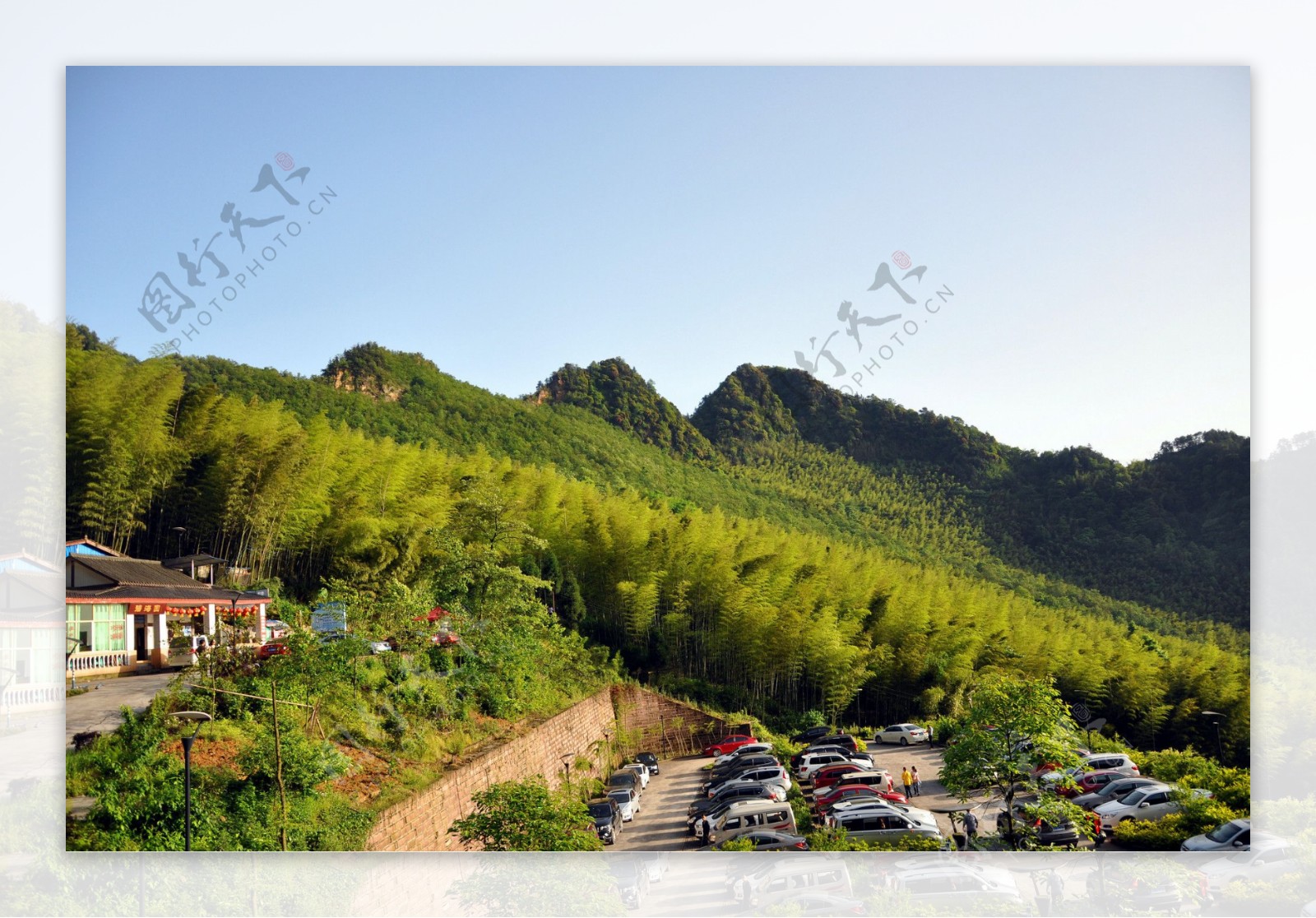 重庆永川茶山竹海风景